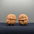 Iron Wenwan Walnut · 31mm · Natural · Premium Ritual