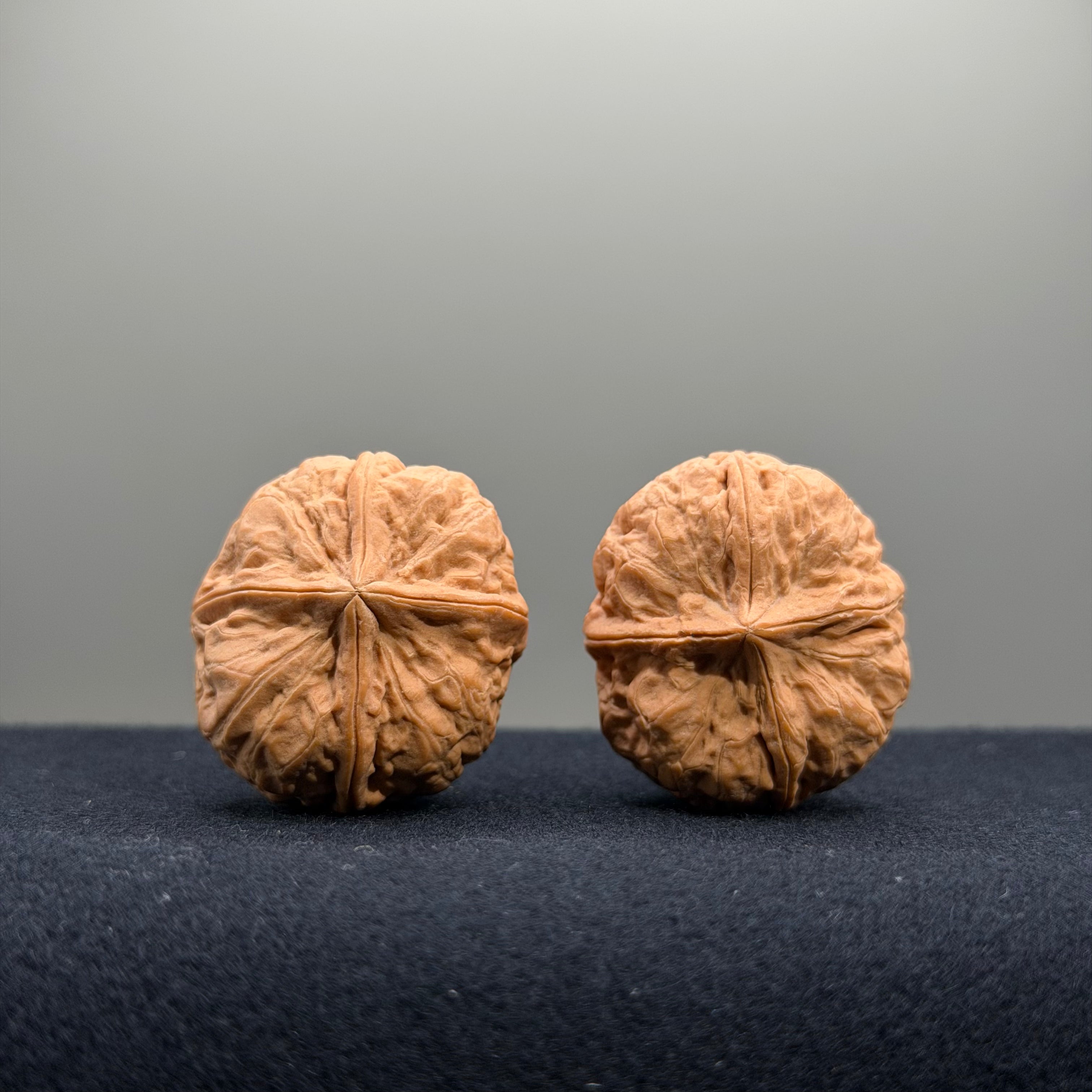 Iron Wenwan Walnut · 31mm · Natural · Premium Ritual