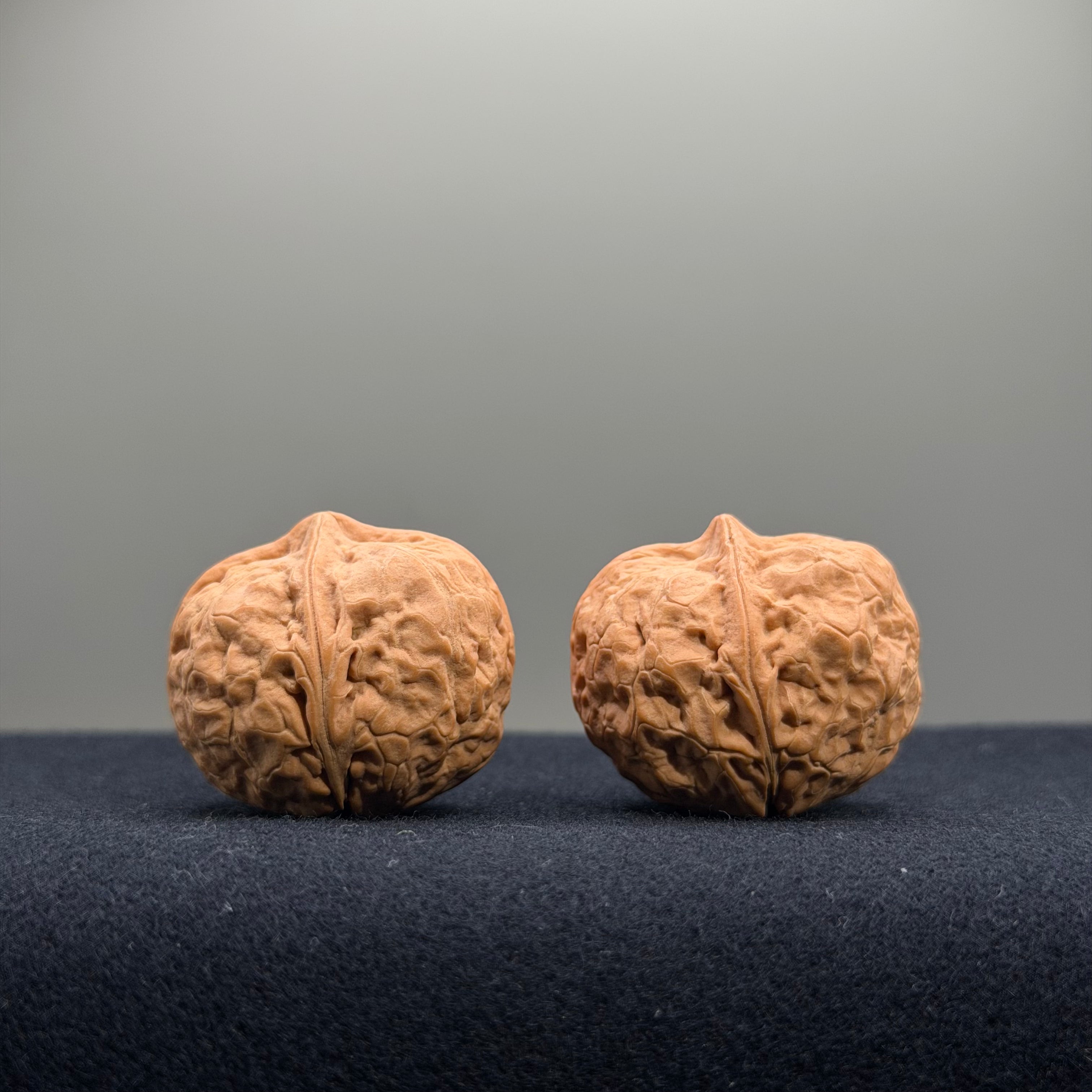 Iron Wenwan Walnut · 31mm · Natural · Premium Ritual