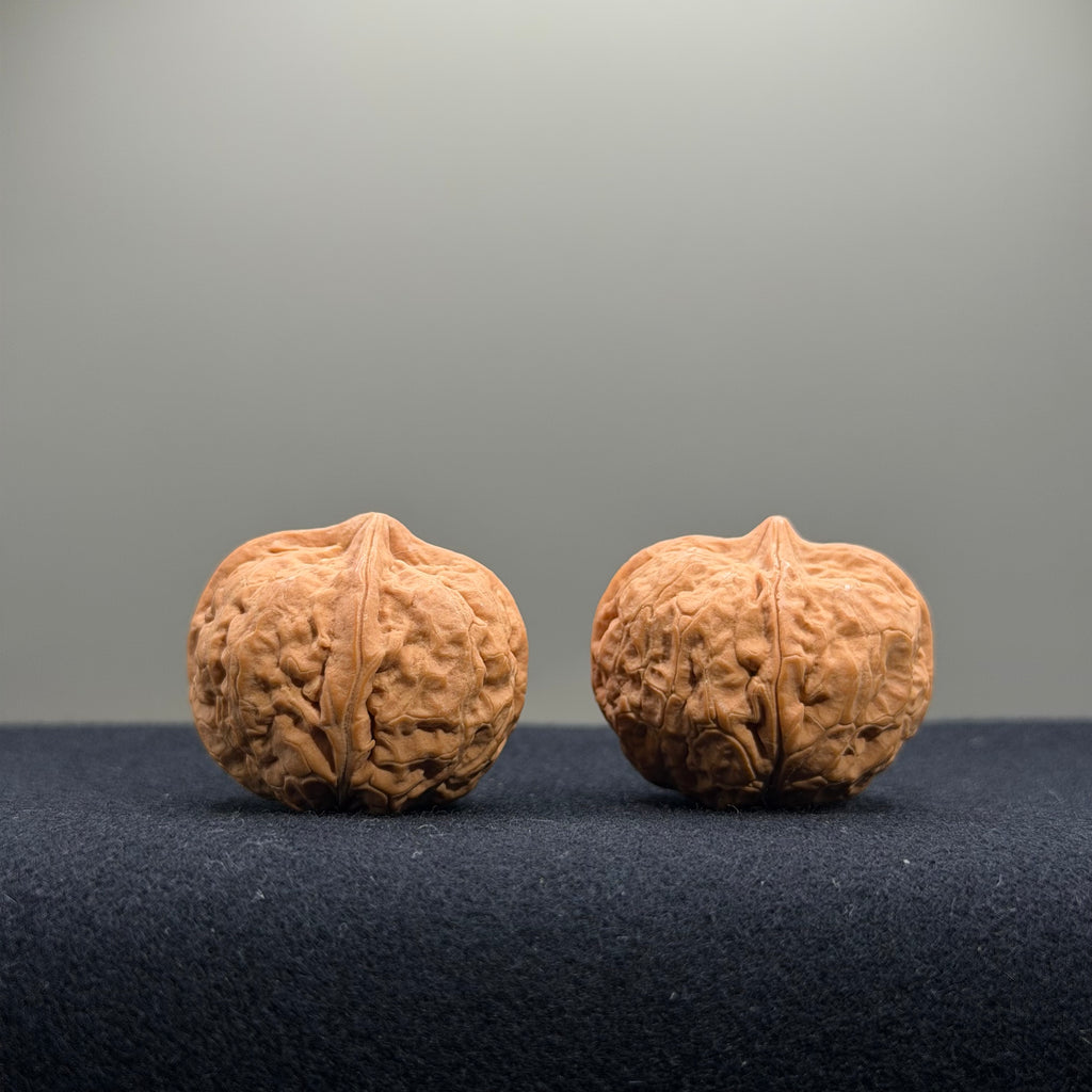 Iron Wenwan Walnut · 31mm · Natural · Premium Ritual