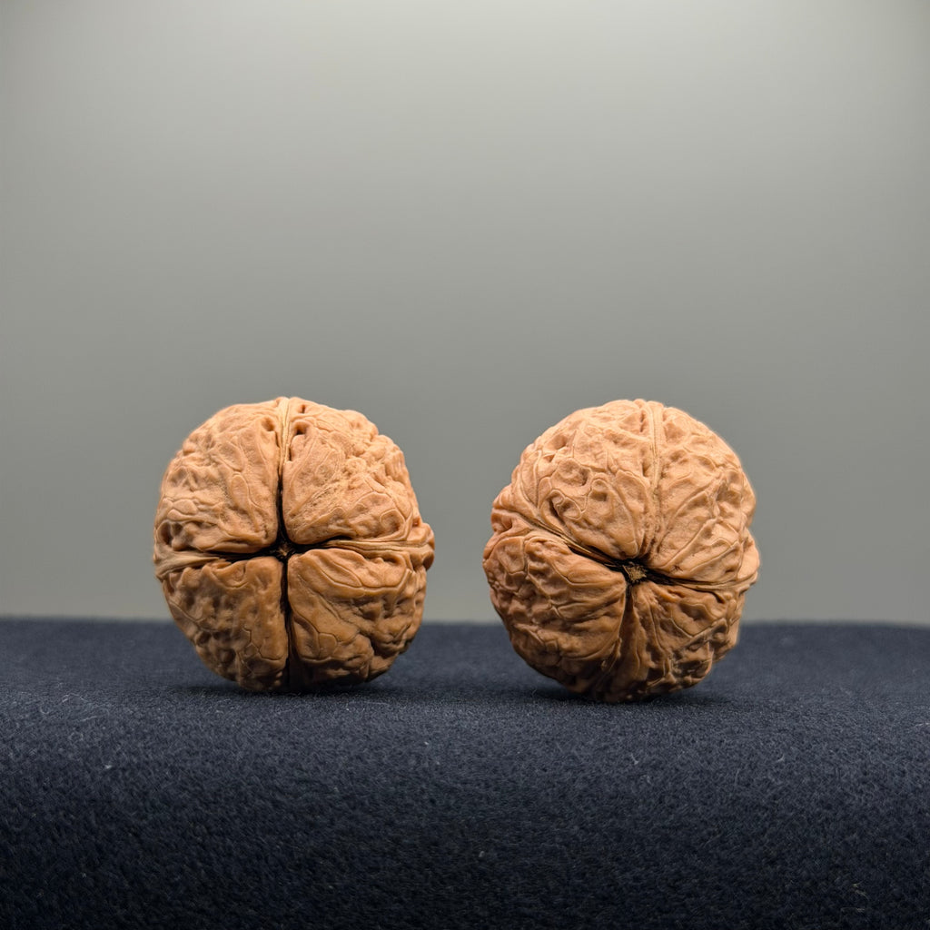Iron Wenwan Walnut · 31mm · Natural · Premium Ritual