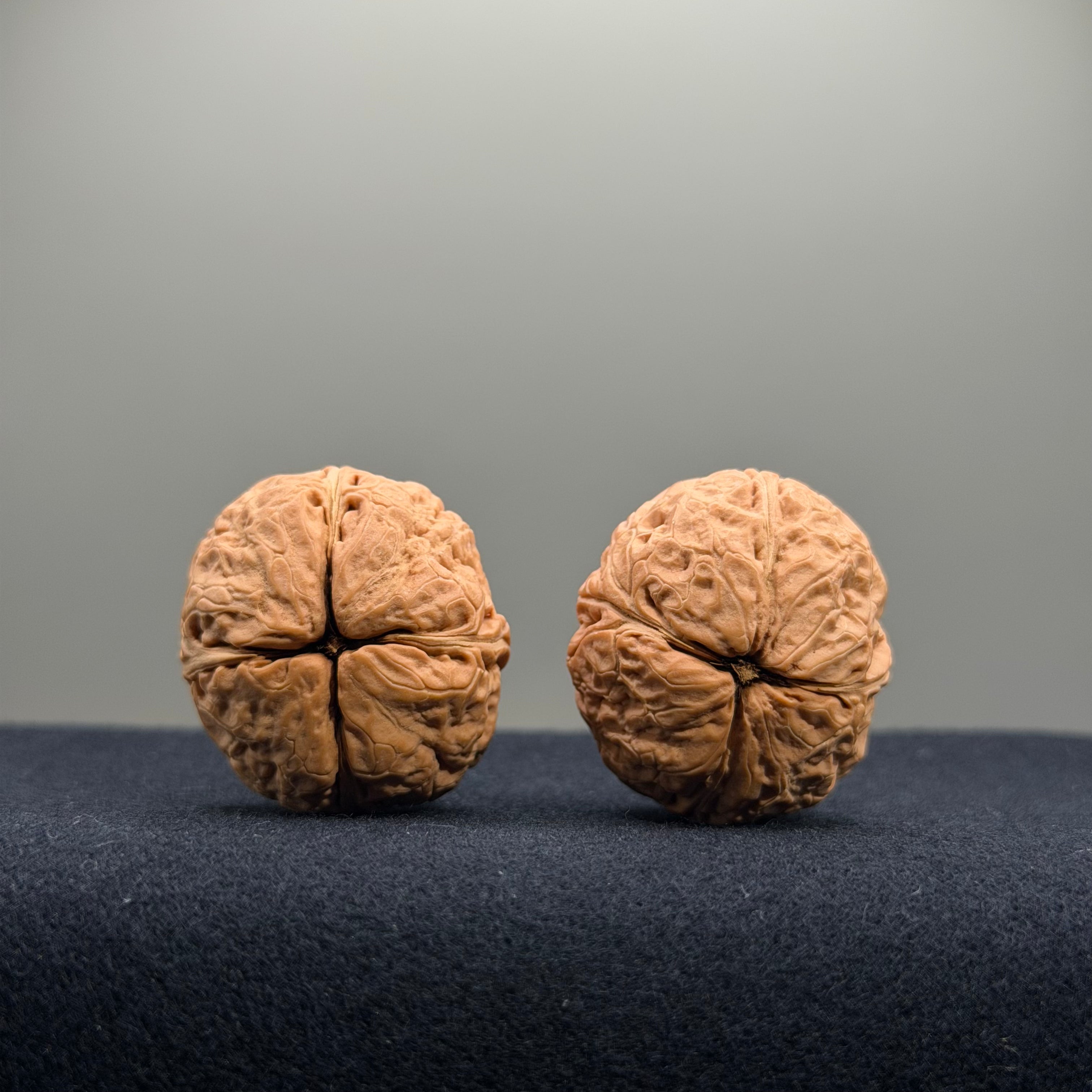 Iron Wenwan Walnut · 31mm · Natural · Premium Ritual