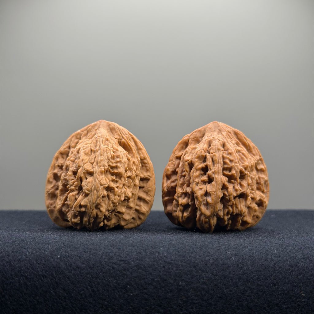 Ruby Wenwan Walnut · 36mm · Natural · Premium Ritual