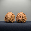 Ruby Wenwan Walnut · 36mm · Natural · Premium Ritual