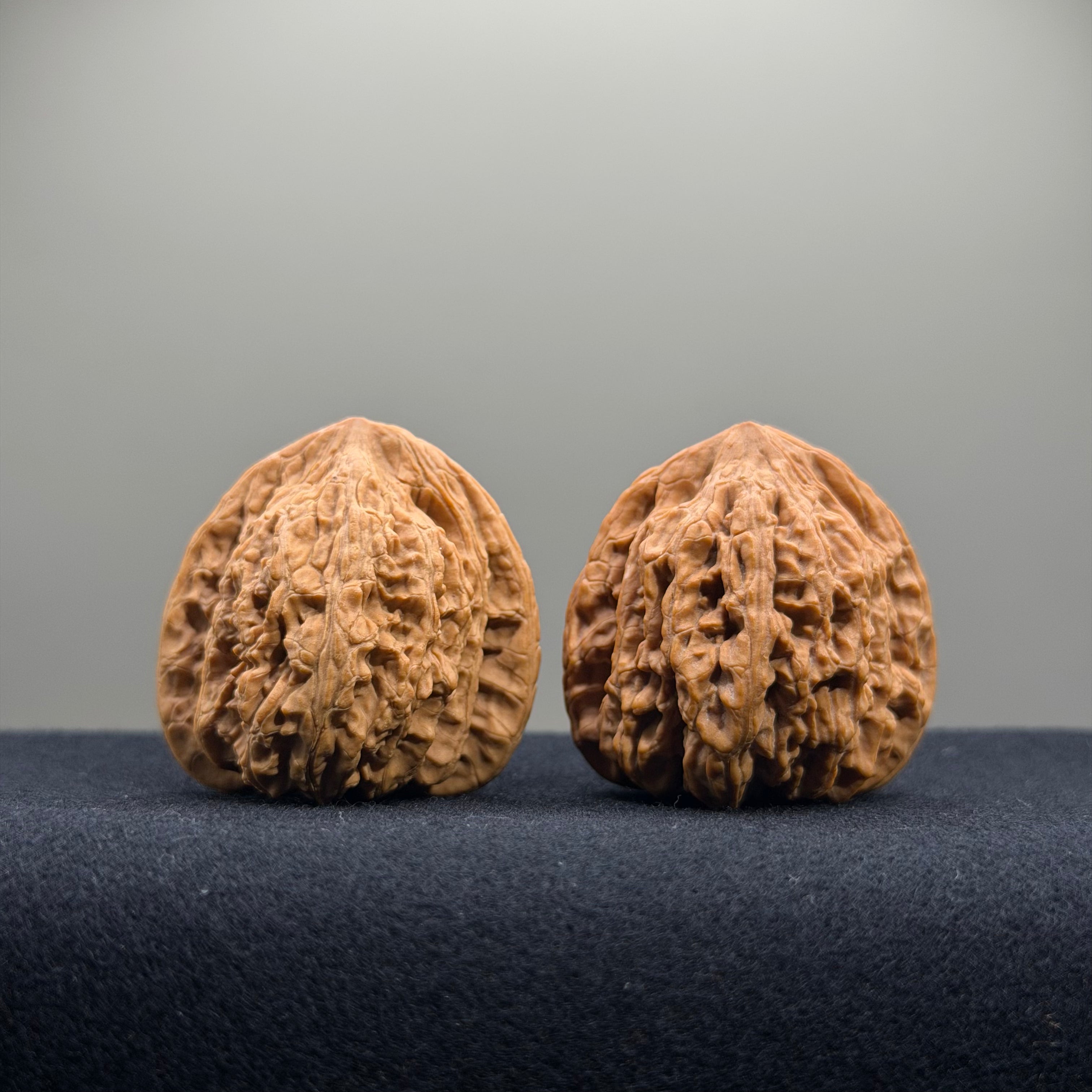 Ruby Wenwan Walnut · 36mm · Natural · Premium Ritual