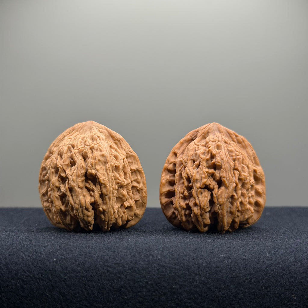 Ruby Wenwan Walnut · 36mm · Natural · Premium Ritual