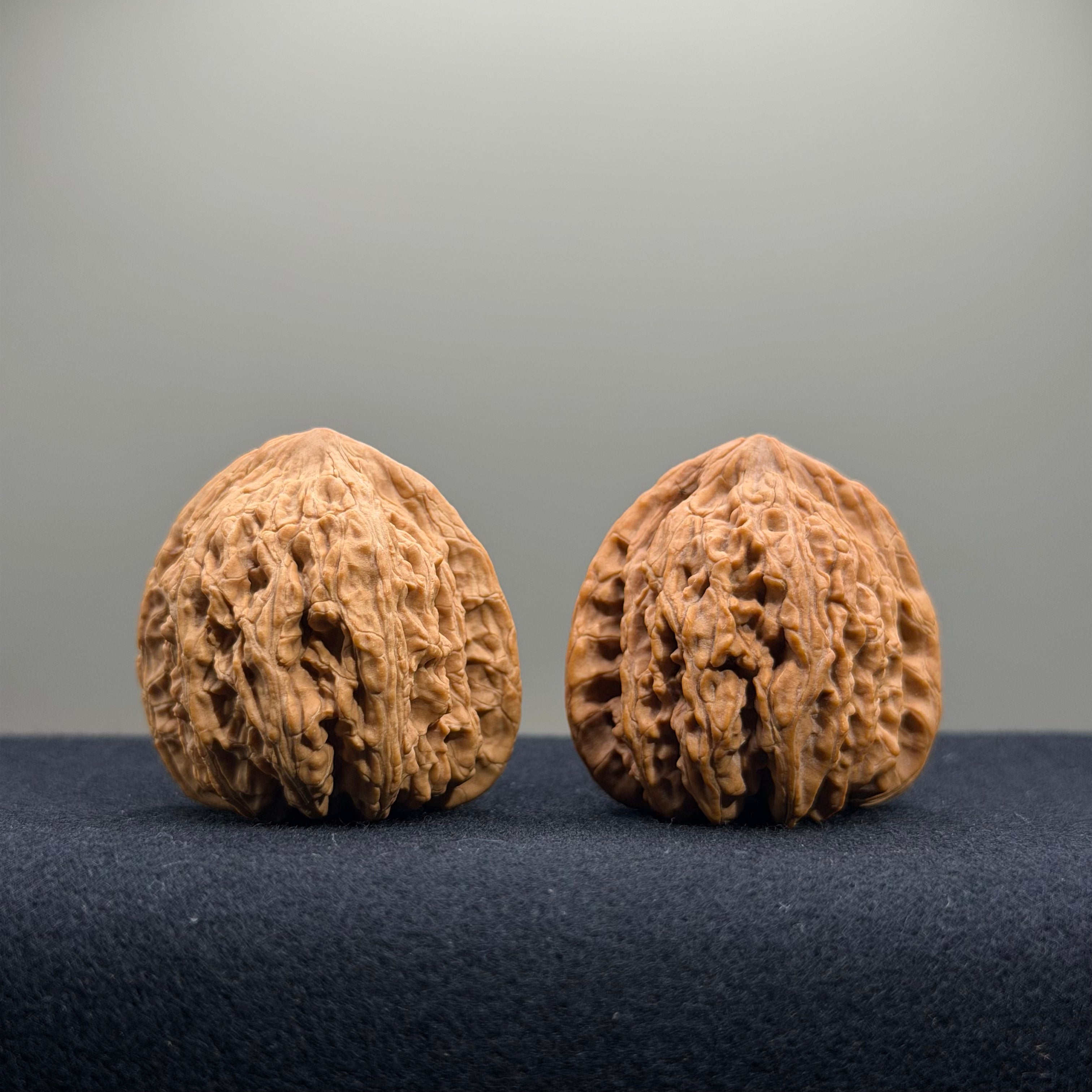 Ruby Wenwan Walnut · 36mm · Natural · Premium Ritual