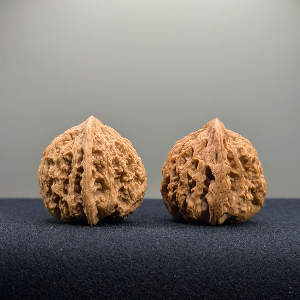 Ruby Wenwan Walnut · 36mm · Natural · Premium Ritual