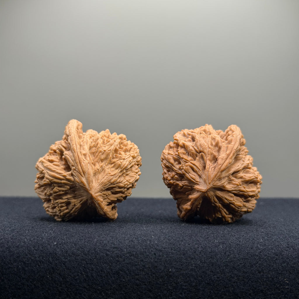 Ruby Wenwan Walnut · 36mm · Natural · Premium Ritual