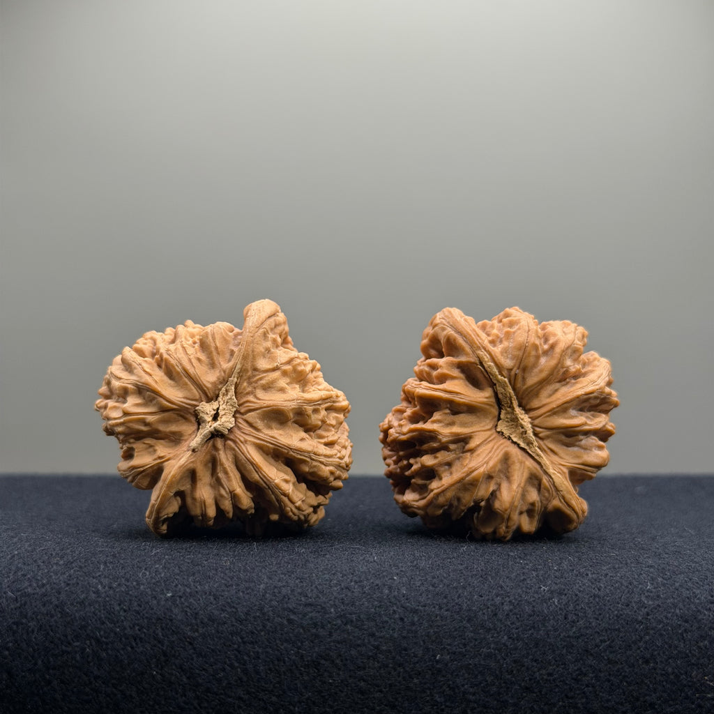 Ruby Wenwan Walnut · 36mm · Natural · Premium Ritual