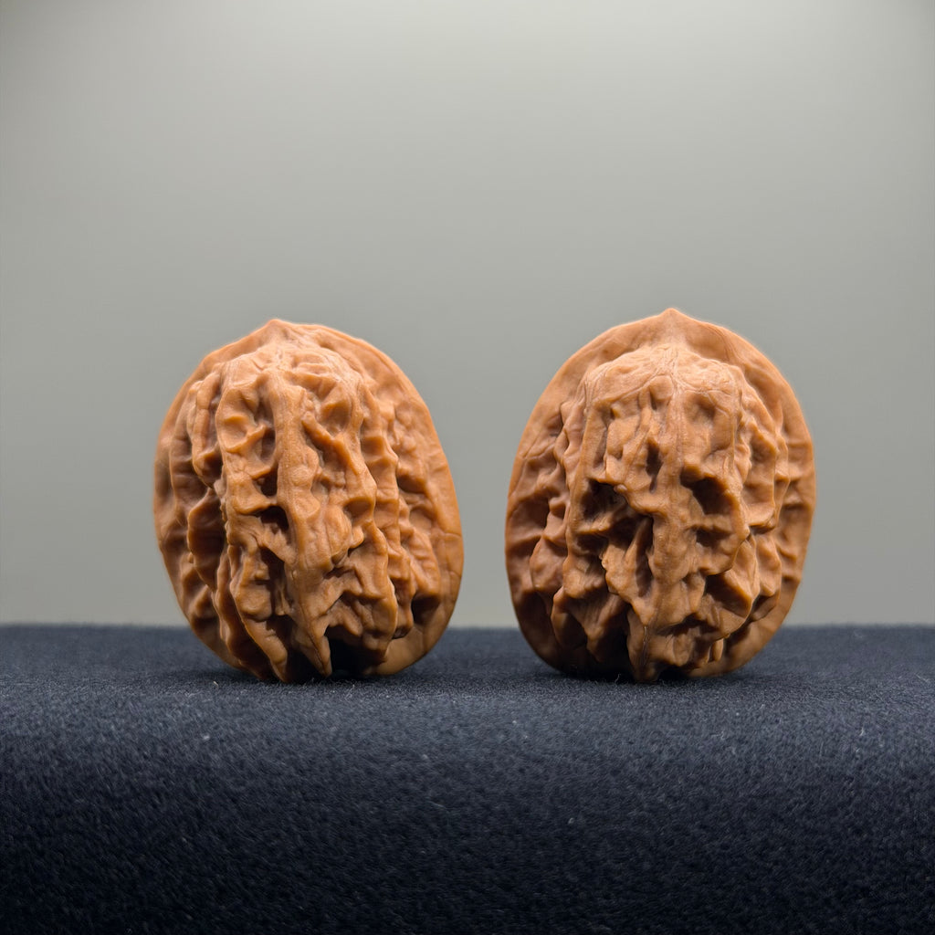 Regal Spine Wenwan Walnut · 33mm · Natural · Select Ritual