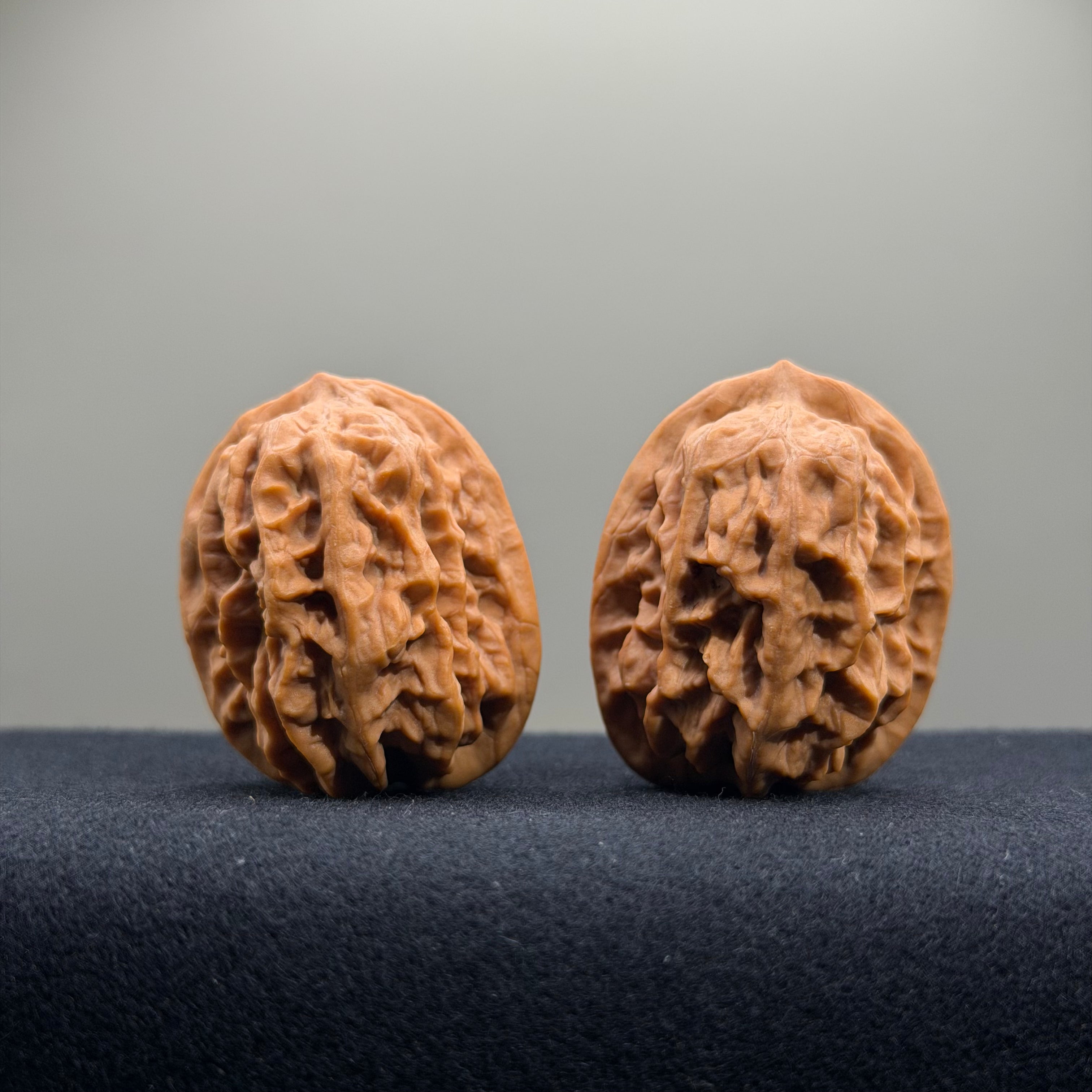 Regal Spine Wenwan Walnut · 33mm · Natural · Select Ritual