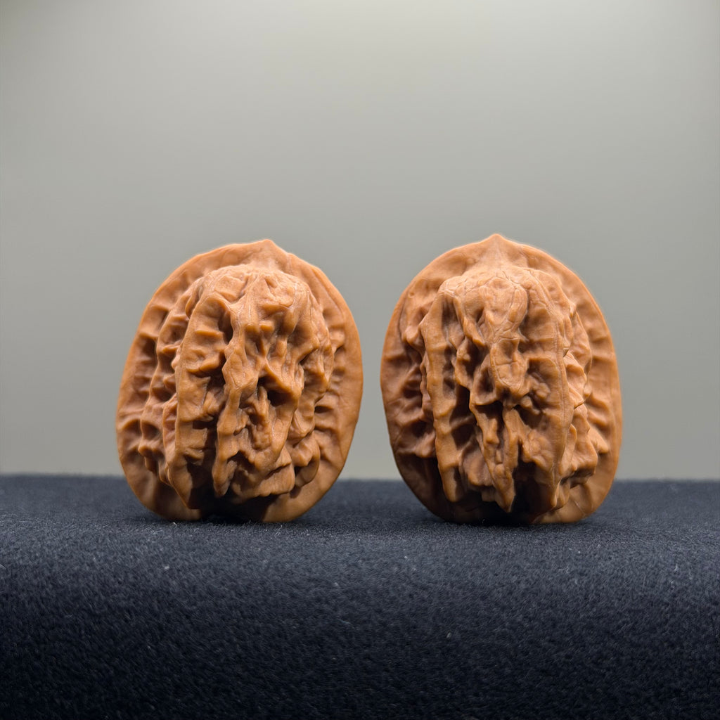 Regal Spine Wenwan Walnut · 33mm · Natural · Select Ritual