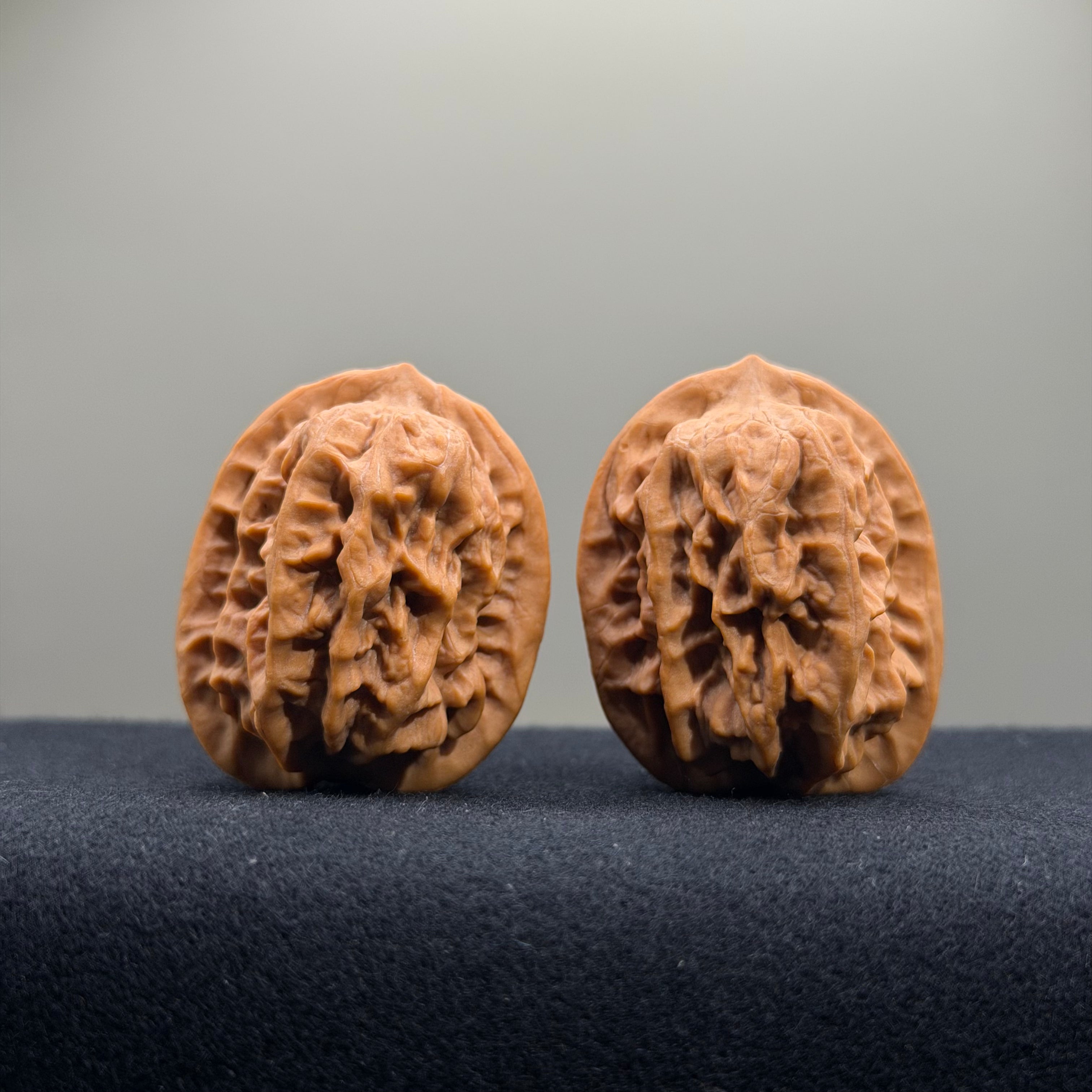 Regal Spine Wenwan Walnut · 33mm · Natural · Select Ritual