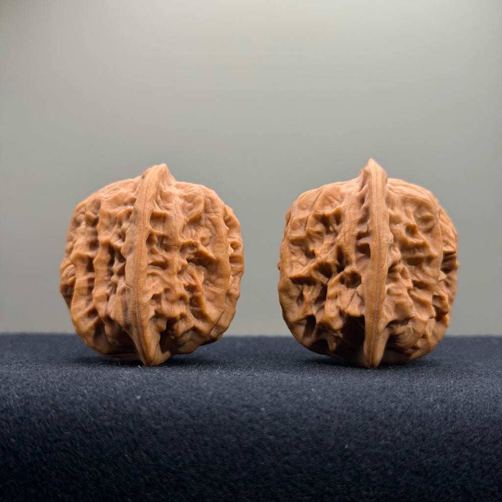 Regal Spine Wenwan Walnut · 33mm · Natural · Select Ritual