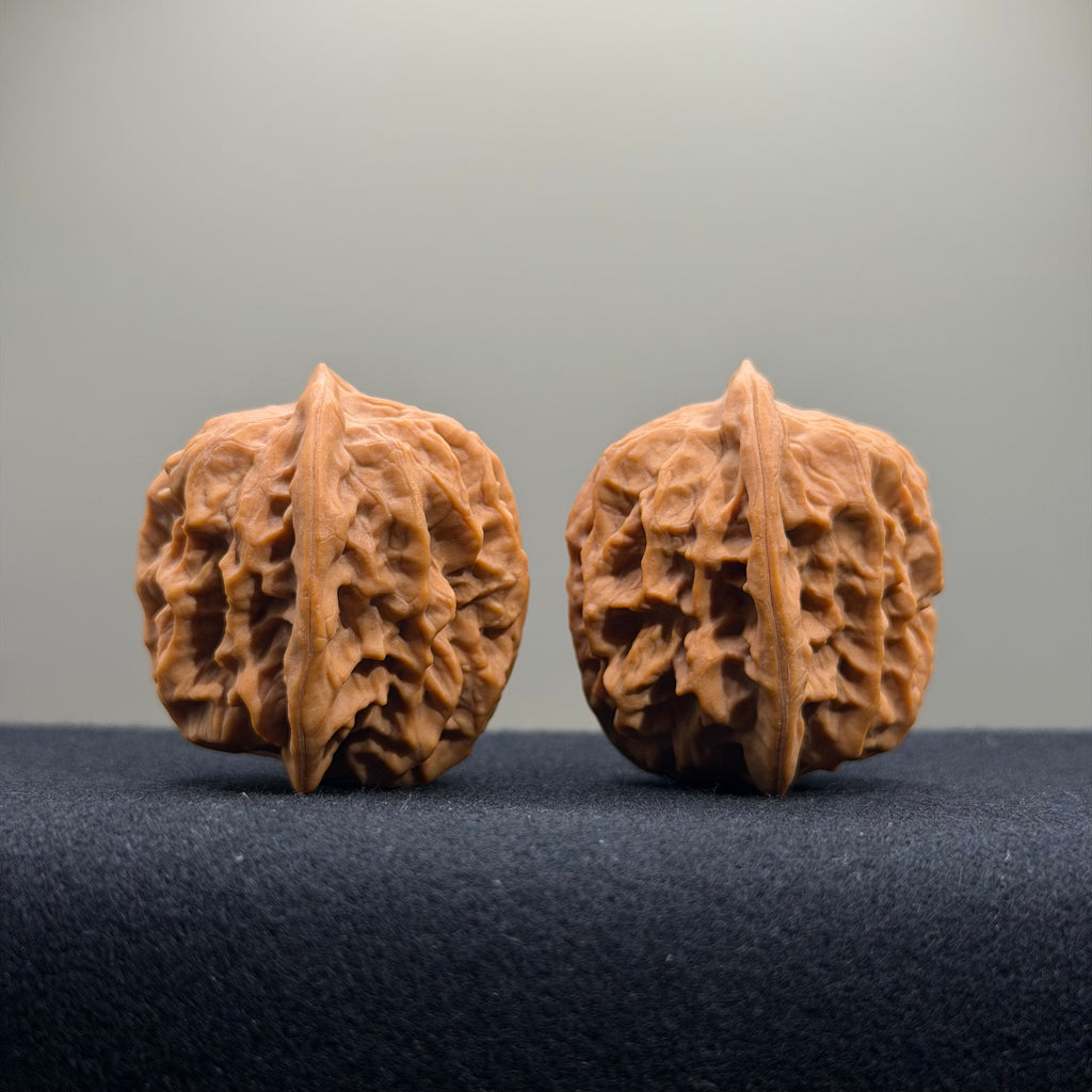 Regal Spine Wenwan Walnut · 33mm · Natural · Select Ritual