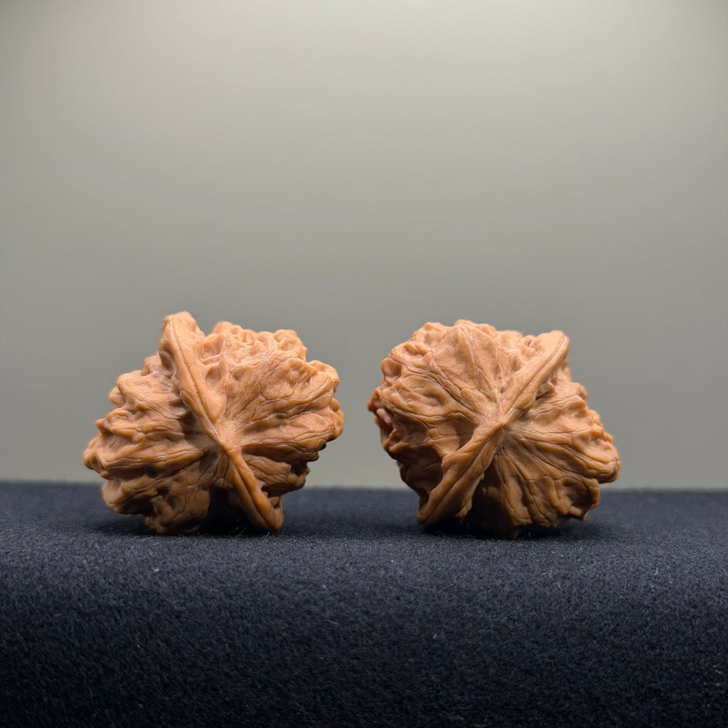 Regal Spine Wenwan Walnut · 33mm · Natural · Select Ritual