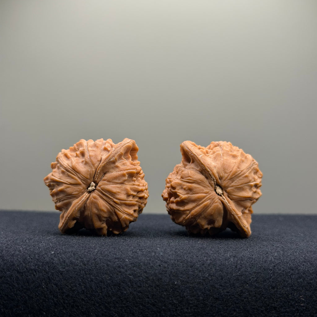 Mini Hat Wenwan Walnut · 35mm · Natural · Premium Ritual