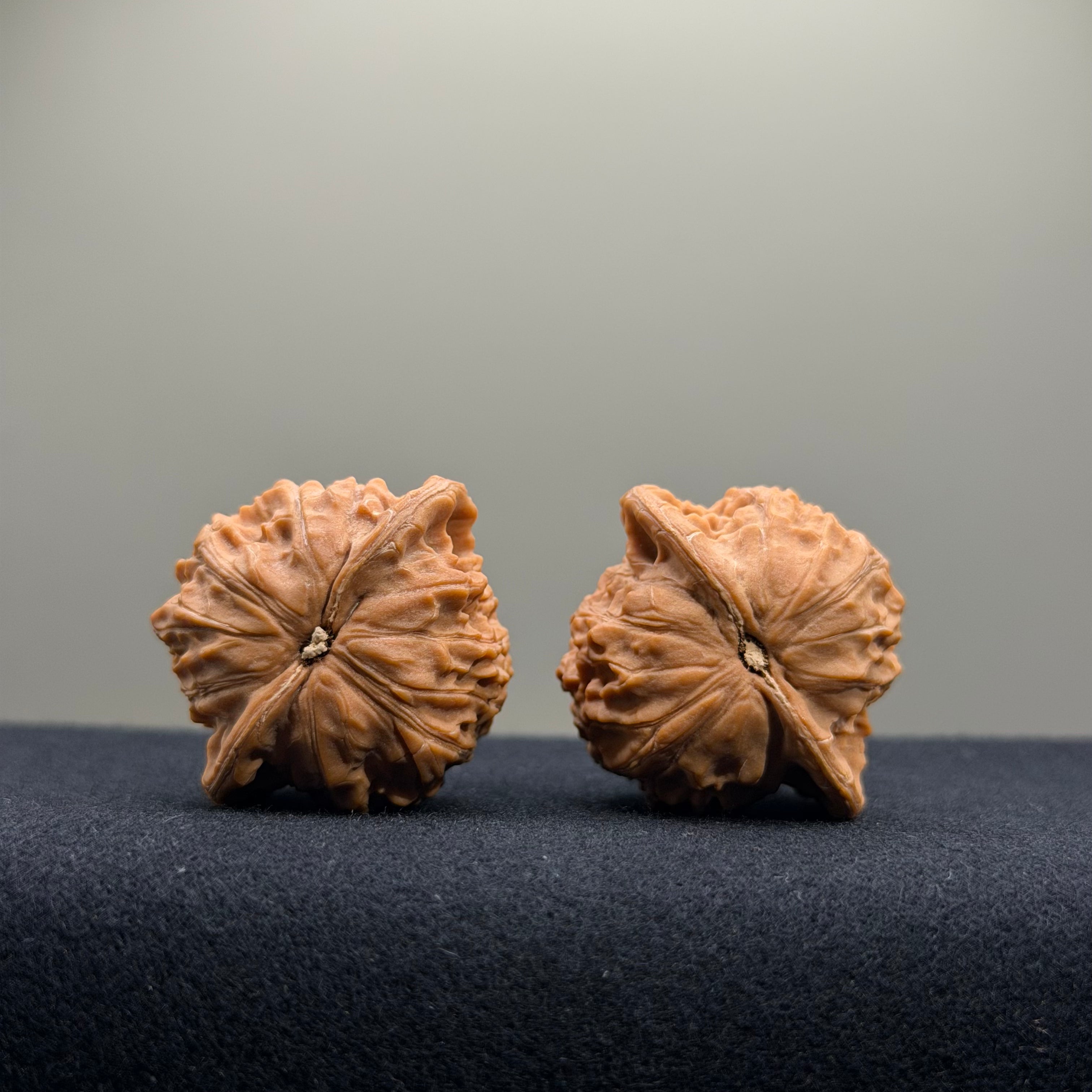 Mini Hat Wenwan Walnut · 35mm · Natural · Premium Ritual