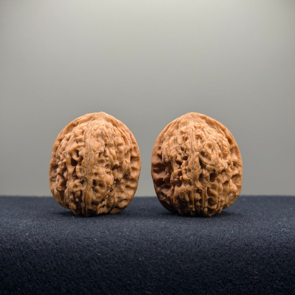 Gemini Wenwan Walnut · 31mm · Natural · Premium Ritual