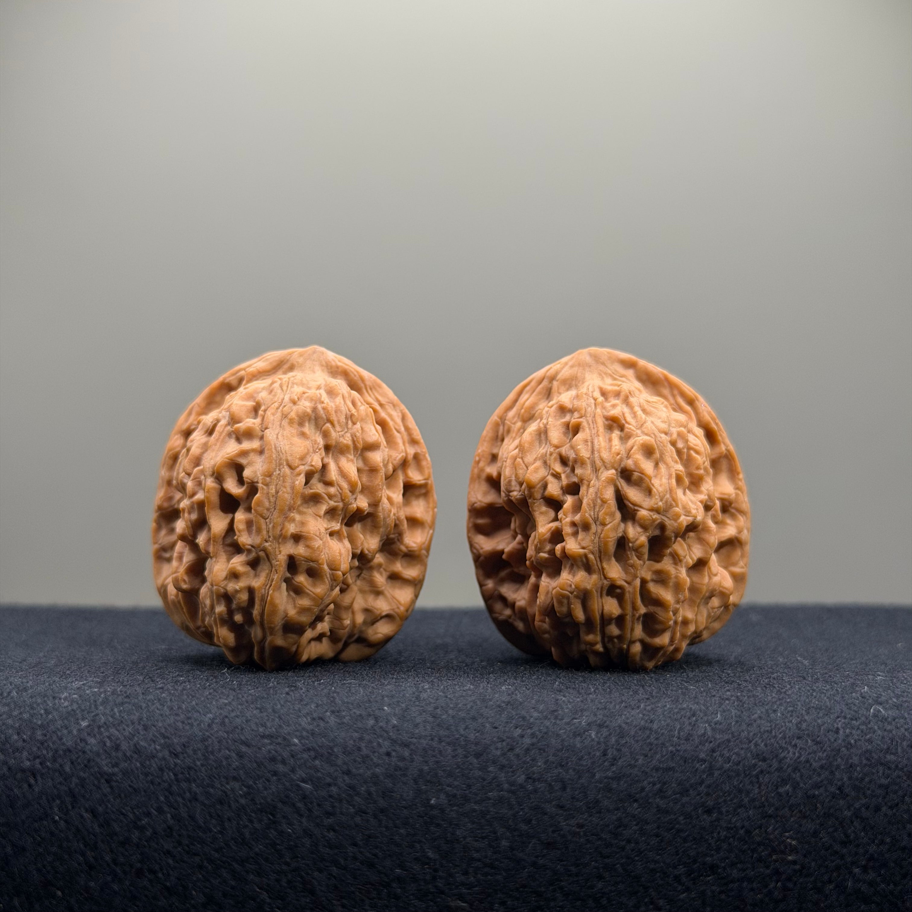 Gemini Wenwan Walnut · 31mm · Natural · Premium Ritual
