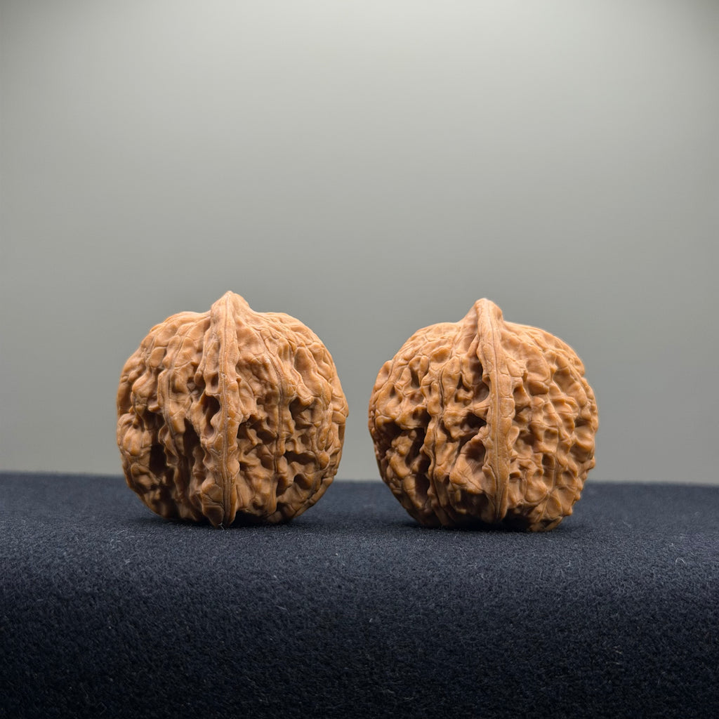 Gemini Wenwan Walnut · 31mm · Natural · Premium Ritual