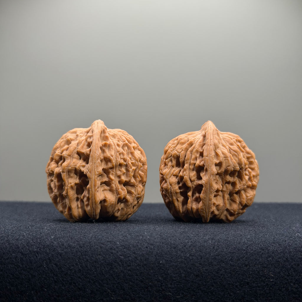 Gemini Wenwan Walnut · 31mm · Natural · Premium Ritual