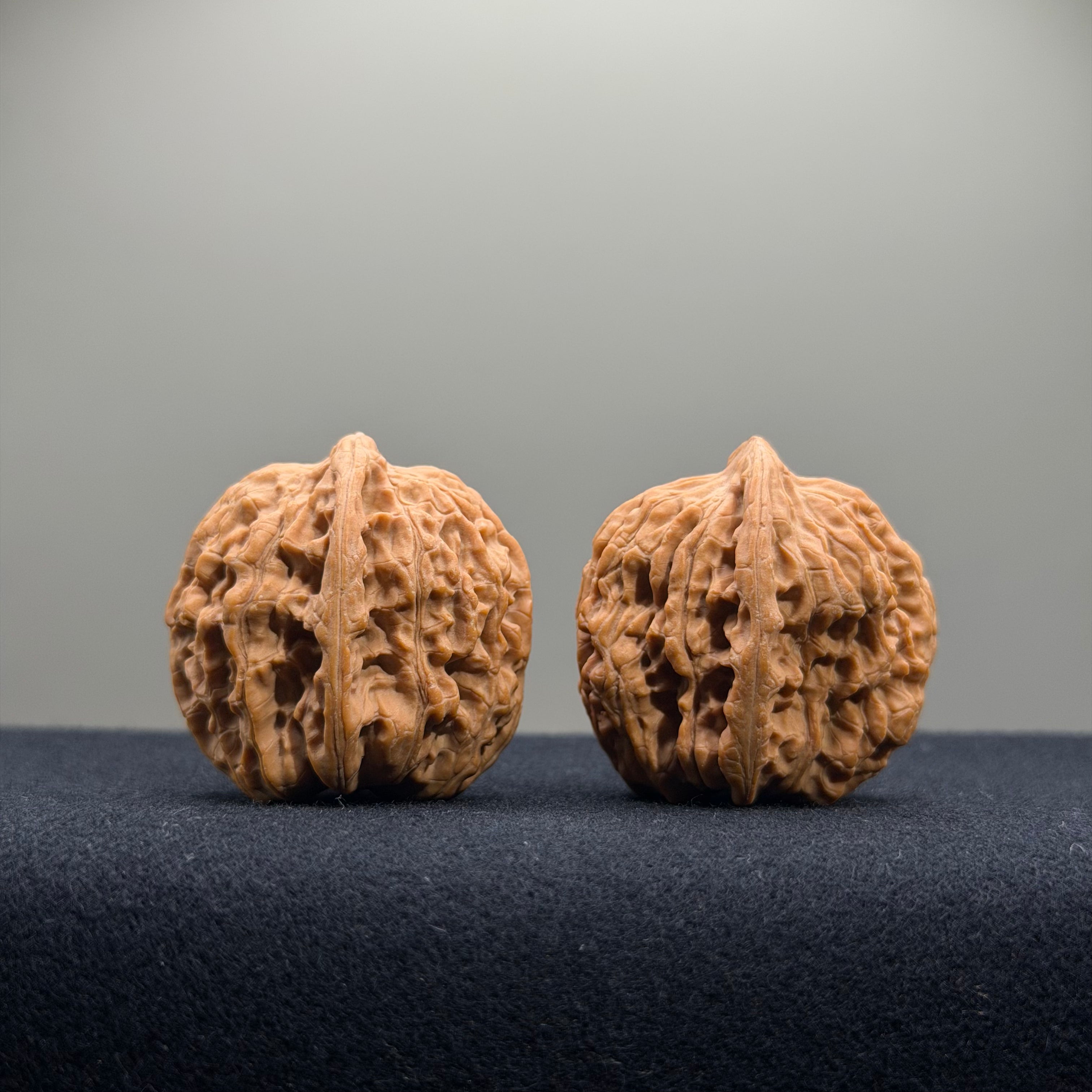 Gemini Wenwan Walnut · 31mm · Natural · Premium Ritual