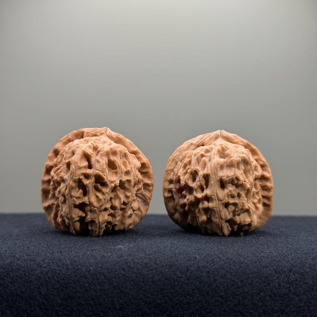 White Lion Wenwan Walnut · 34mm · Natural · Entry Ritual