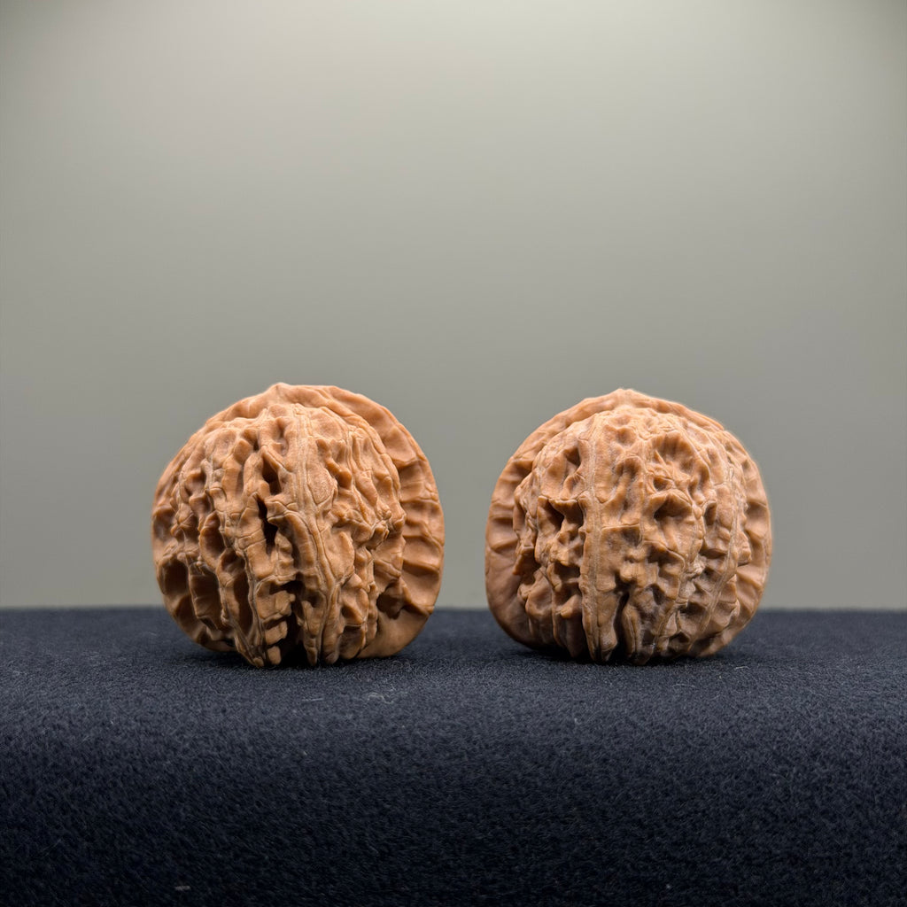White Lion Wenwan Walnut · 34mm · Natural · Entry Ritual