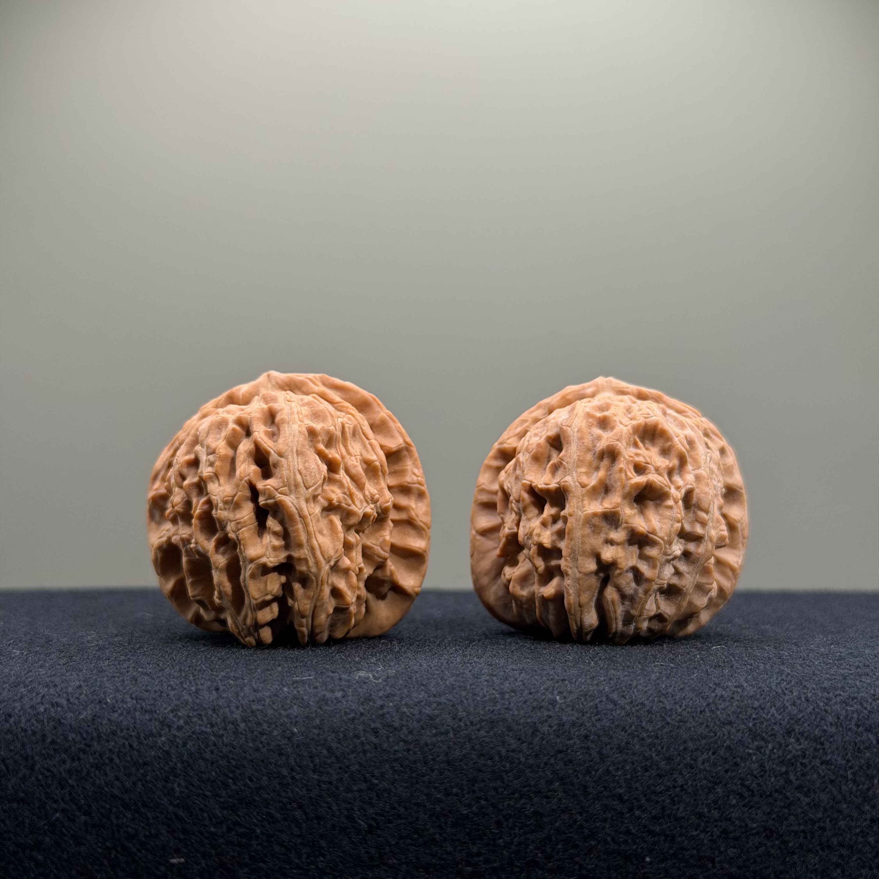 White Lion Wenwan Walnut · 34mm · Natural · Entry Ritual