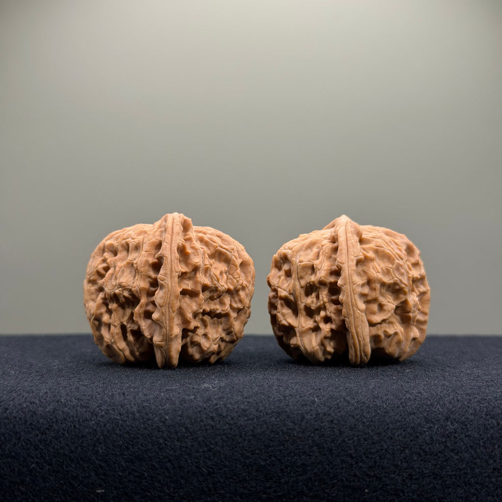 White Lion Wenwan Walnut · 34mm · Natural · Entry Ritual