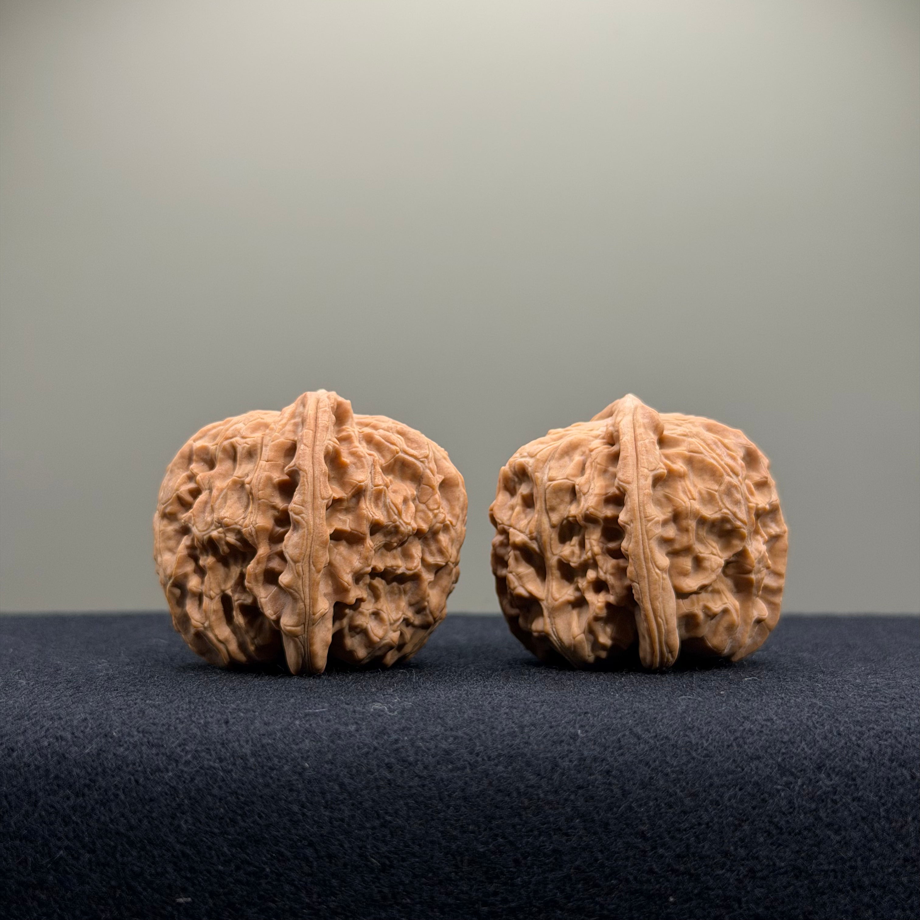 White Lion Wenwan Walnut · 34mm · Natural · Entry Ritual