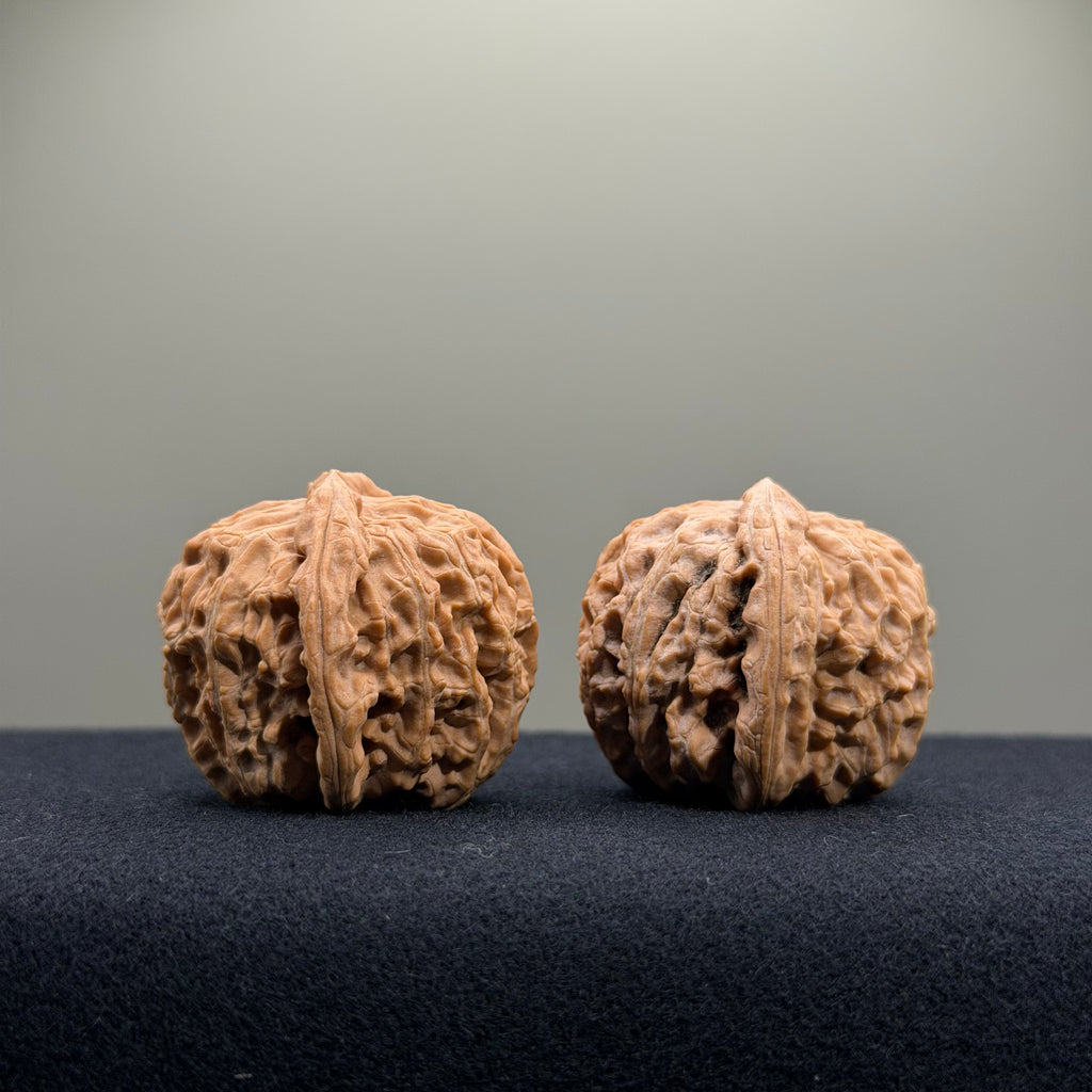 White Lion Wenwan Walnut · 34mm · Natural · Entry Ritual