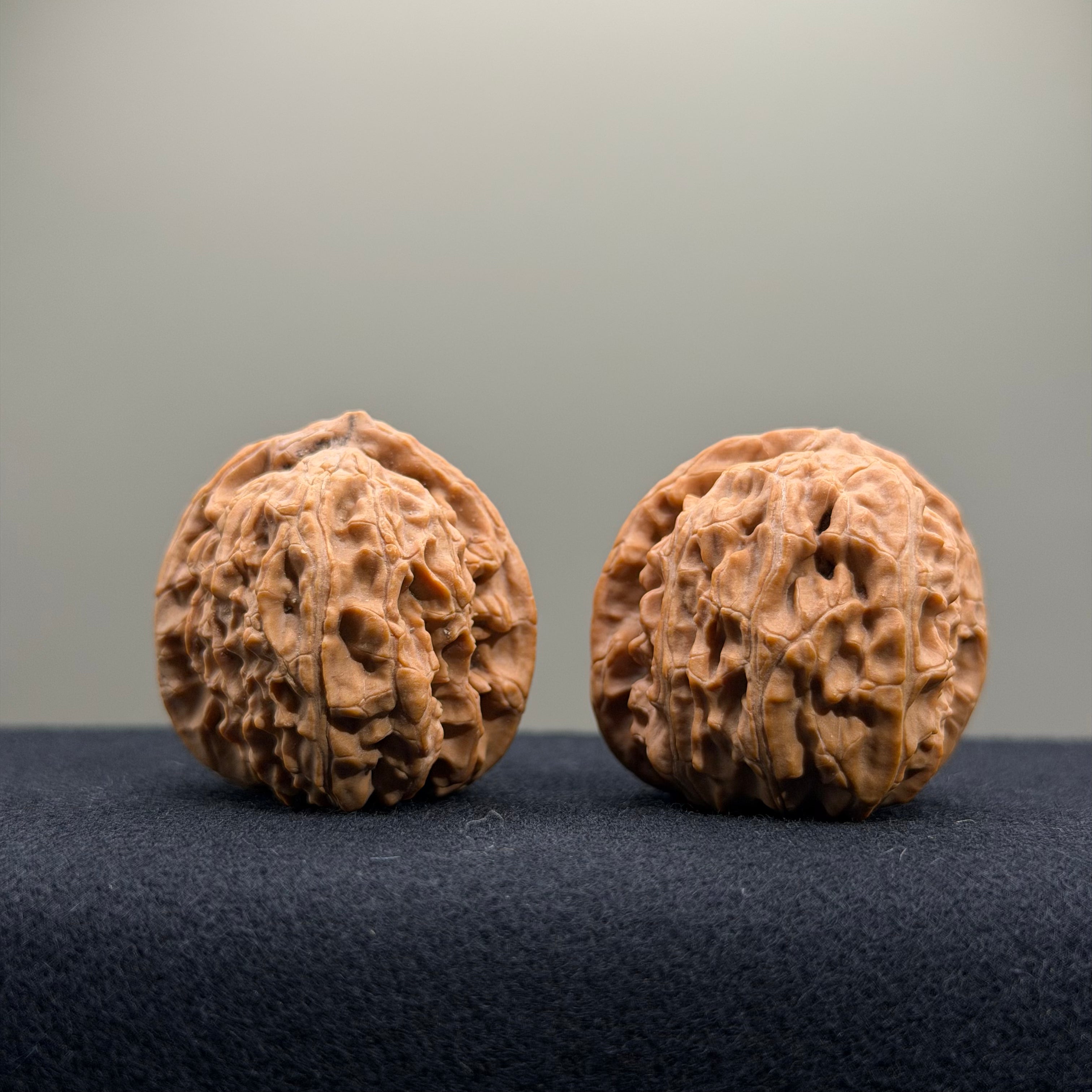 White Lion Wenwan Walnut · 34mm · Natural · Entry Ritual