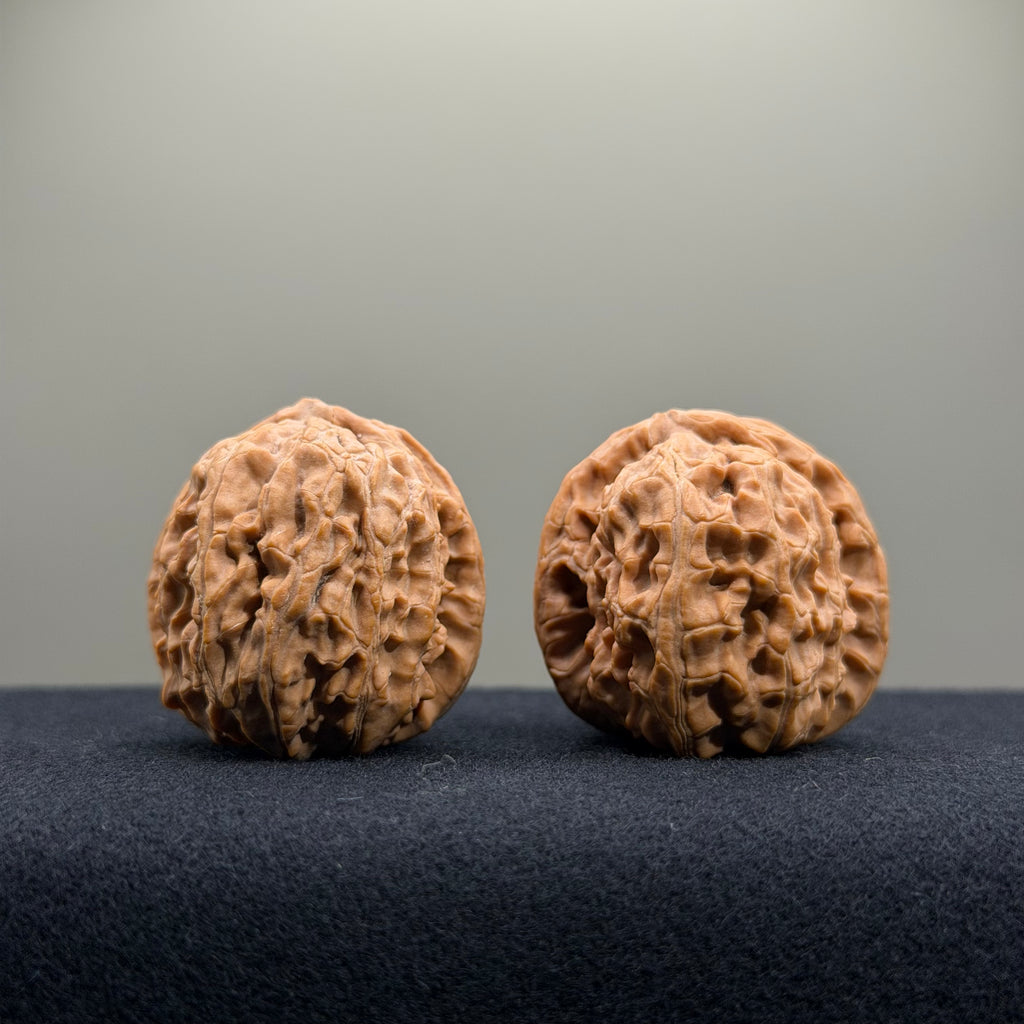 White Lion Wenwan Walnut · 34mm · Natural · Entry Ritual