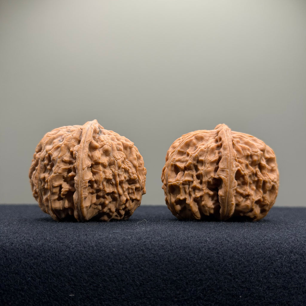 White Lion Wenwan Walnut · 34mm · Natural · Entry Ritual