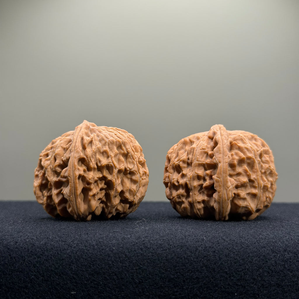 White Lion Wenwan Walnut · 34mm · Natural · Entry Ritual