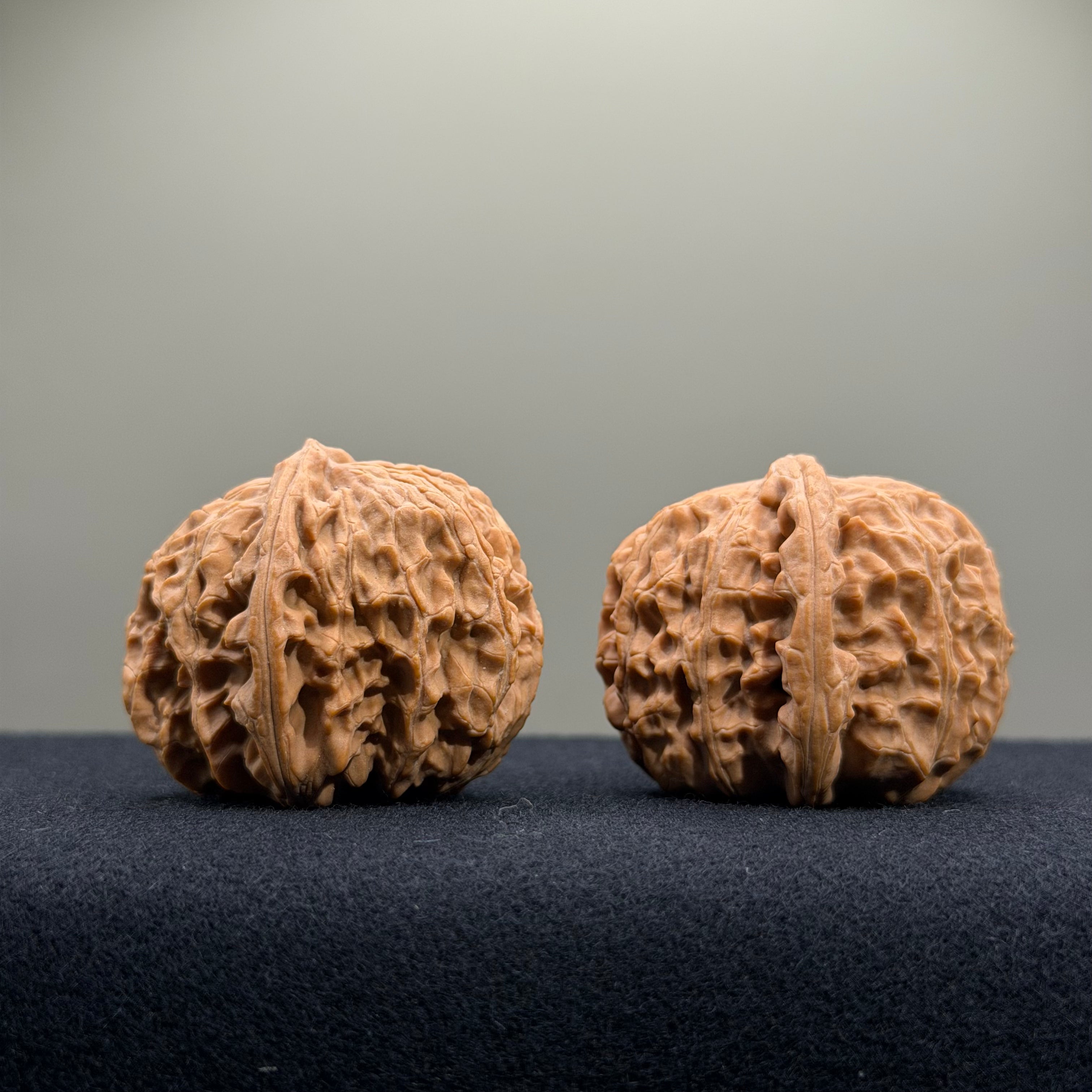 White Lion Wenwan Walnut · 34mm · Natural · Entry Ritual