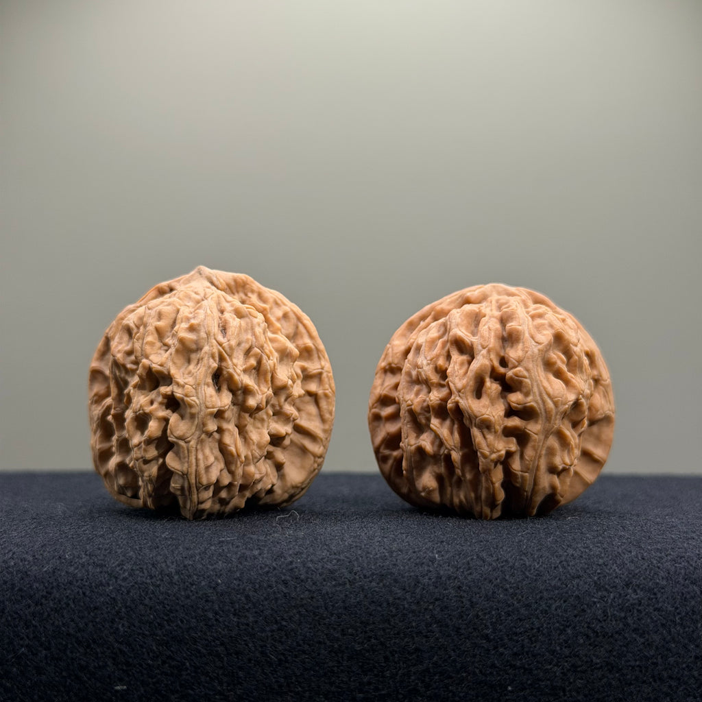 White Lion Wenwan Walnut · 36mm · Natural · Entry Ritual