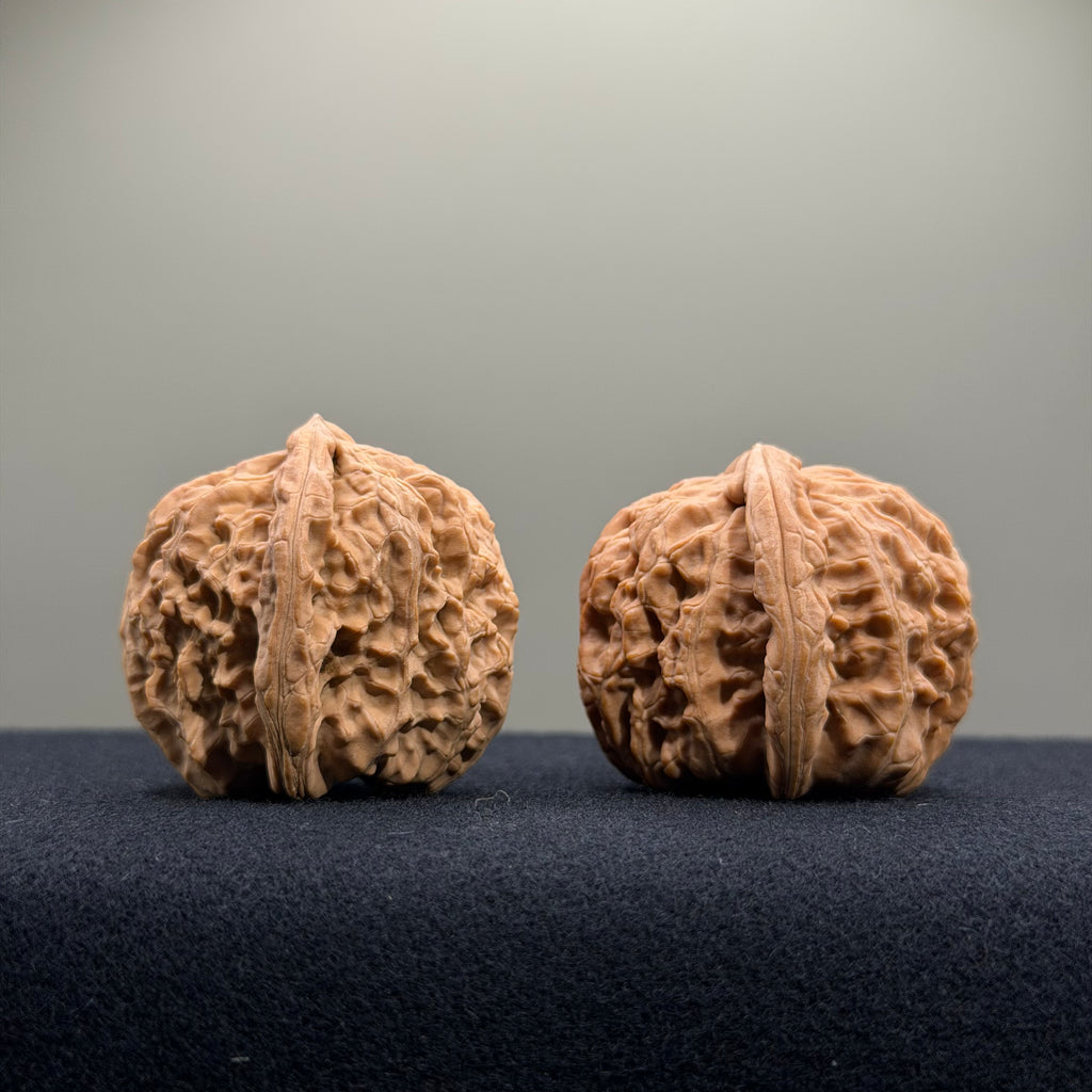 White Lion Wenwan Walnut · 36mm · Natural · Entry Ritual
