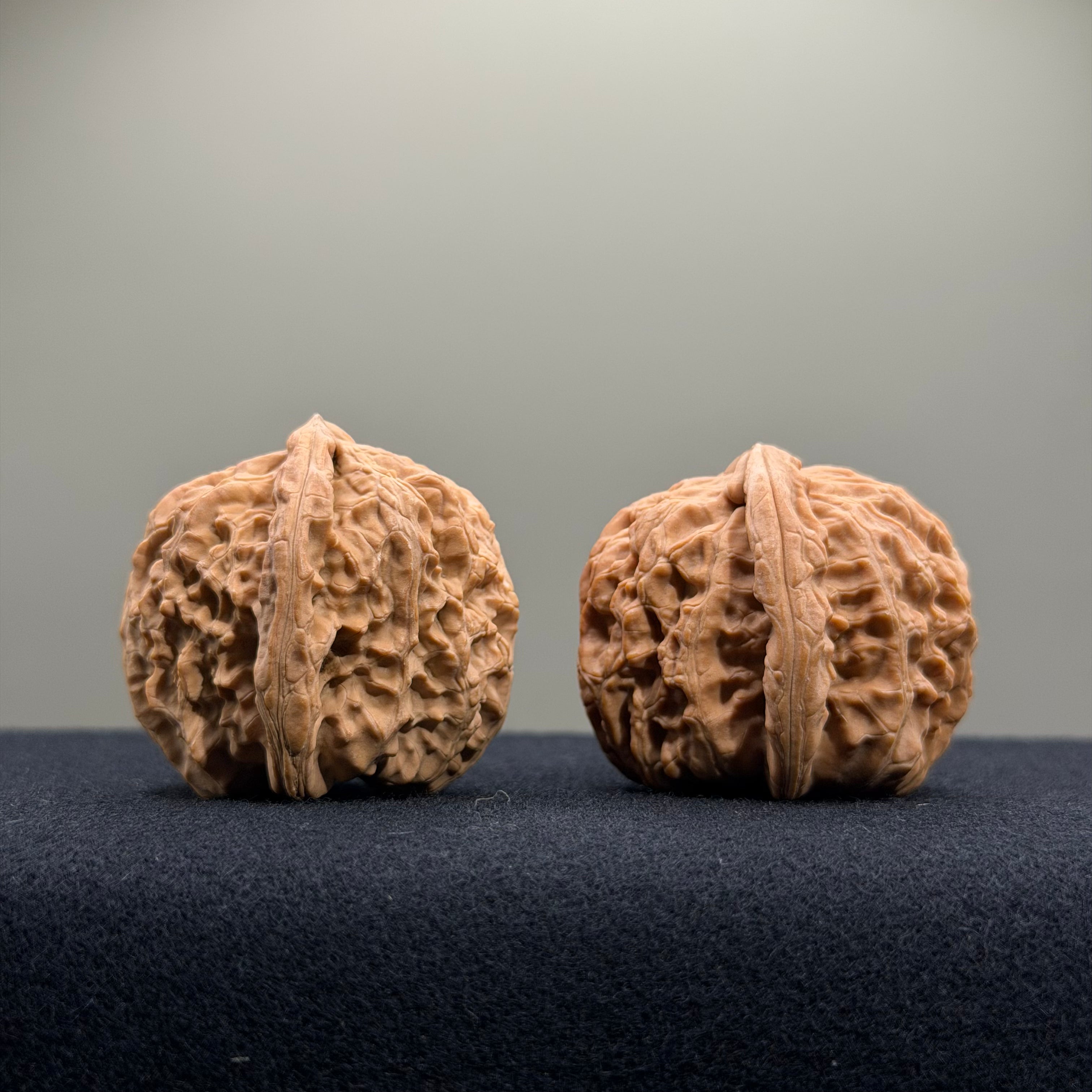 White Lion Wenwan Walnut · 36mm · Natural · Entry Ritual
