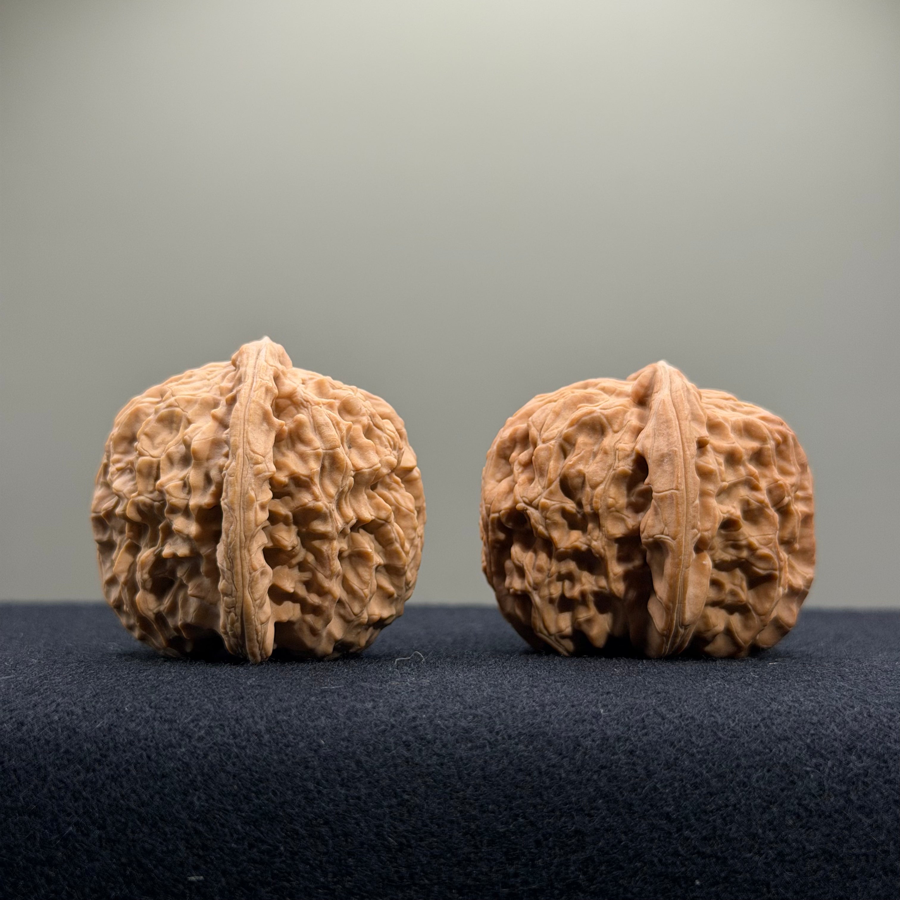 White Lion Wenwan Walnut · 36mm · Natural · Entry Ritual