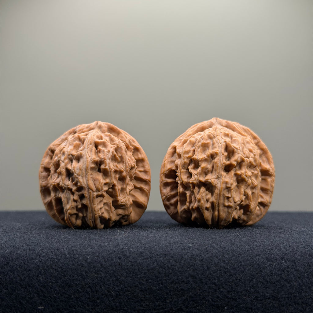 White Lion Wenwan Walnut · 35mm · Natural · Entry Ritual
