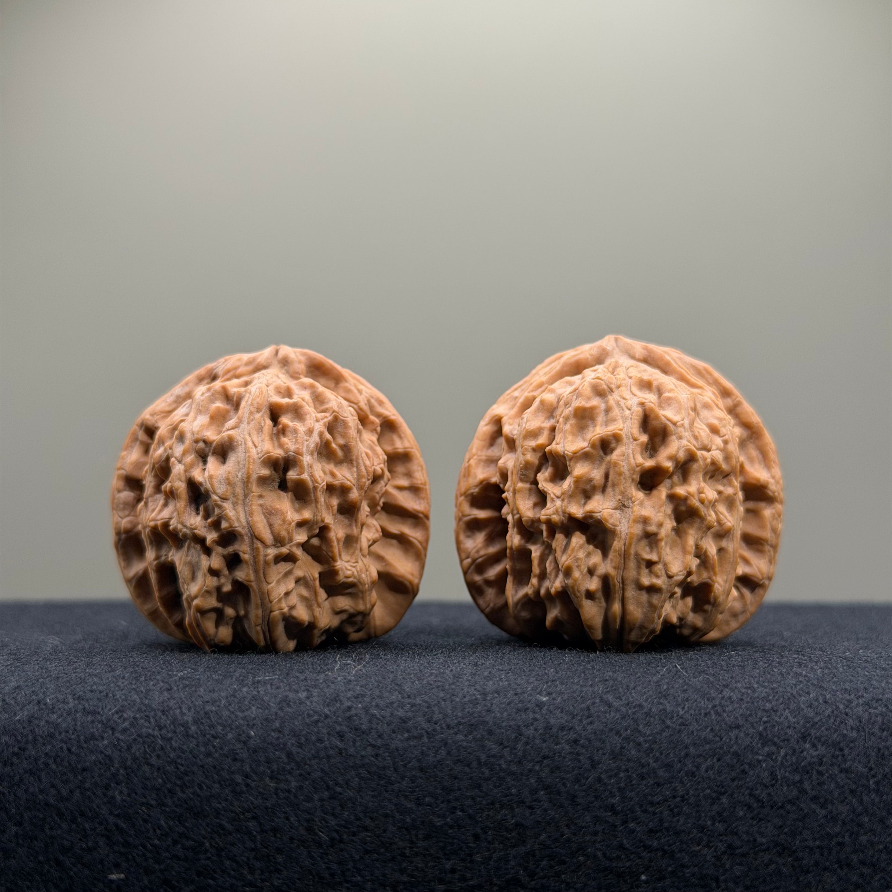 White Lion Wenwan Walnut · 35mm · Natural · Entry Ritual