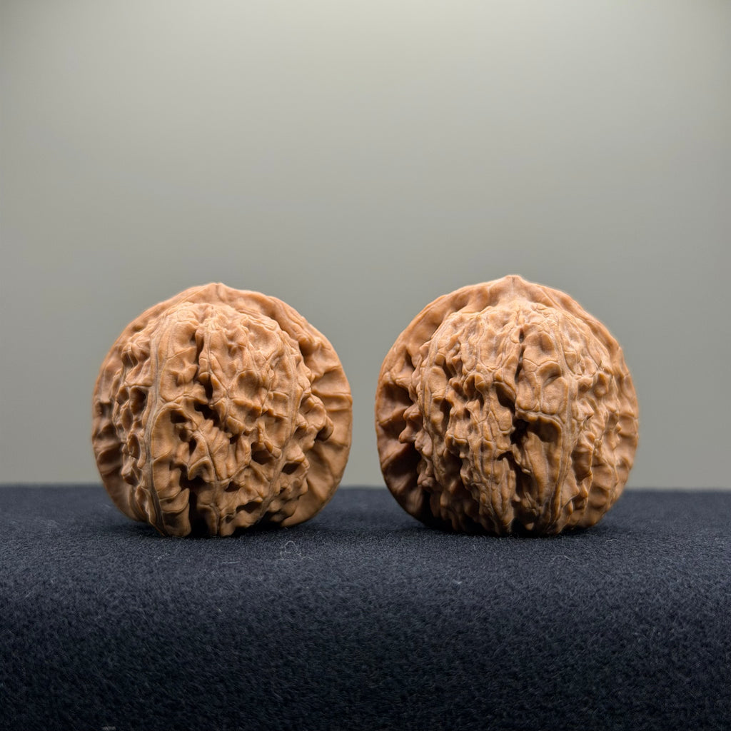 White Lion Wenwan Walnut · 35mm · Natural · Entry Ritual