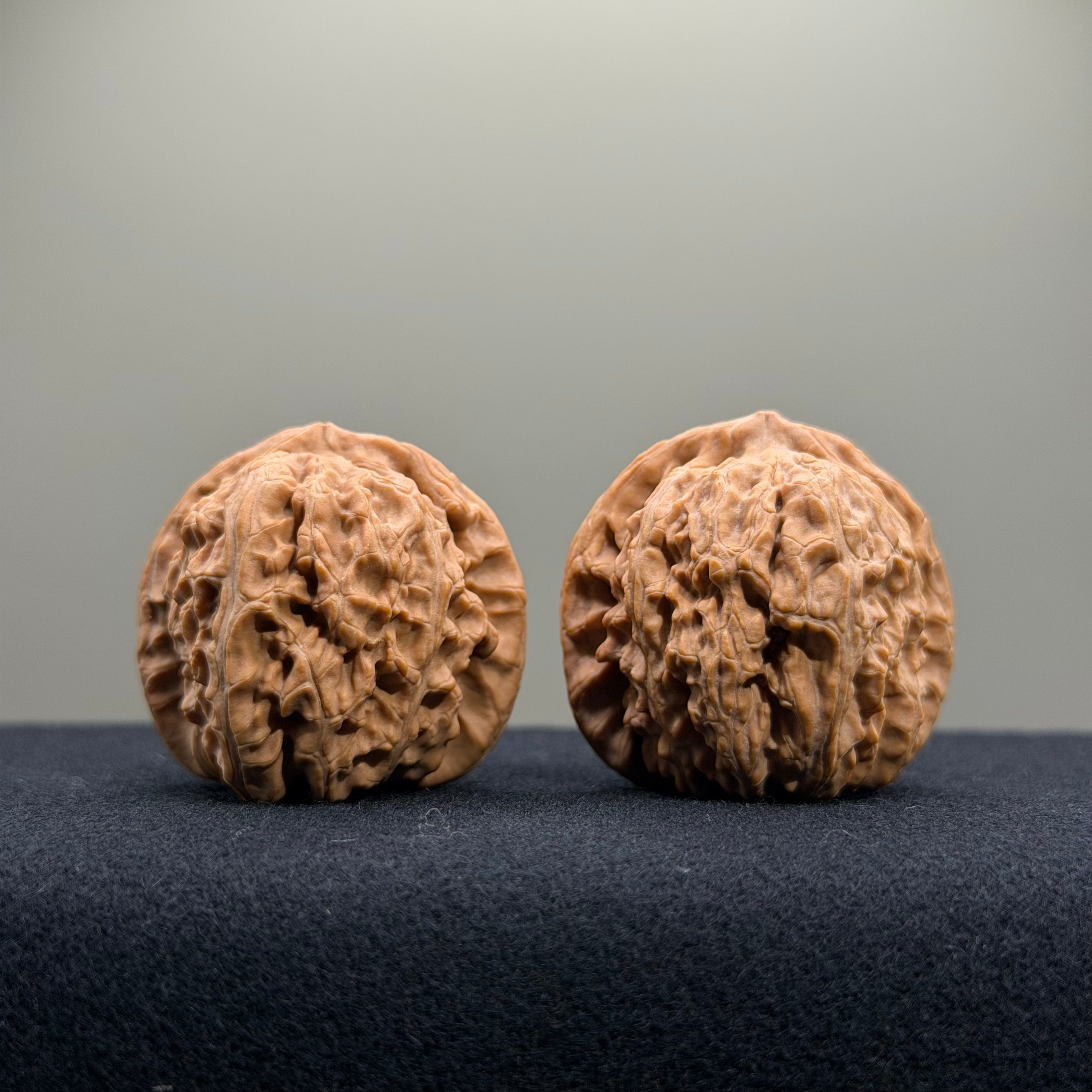 White Lion Wenwan Walnut · 35mm · Natural · Entry Ritual