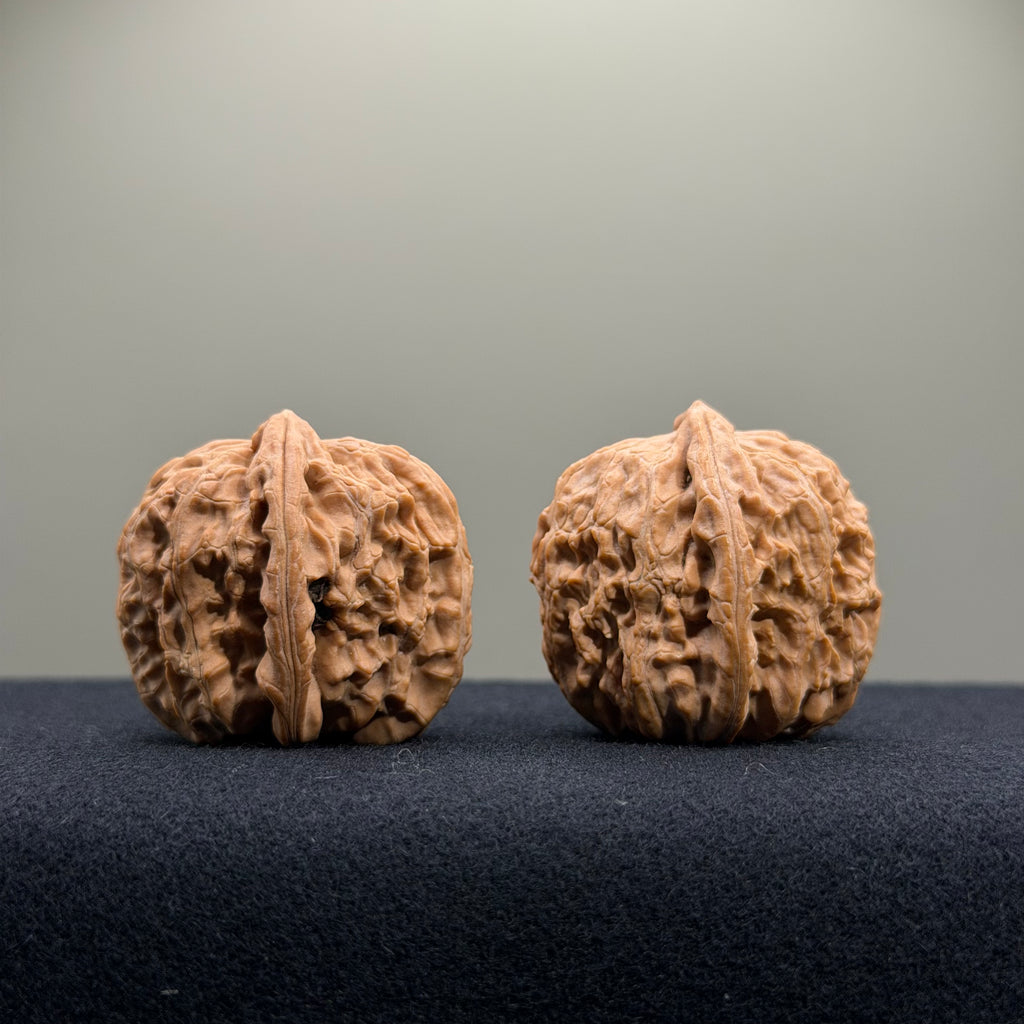 White Lion Wenwan Walnut · 35mm · Natural · Entry Ritual