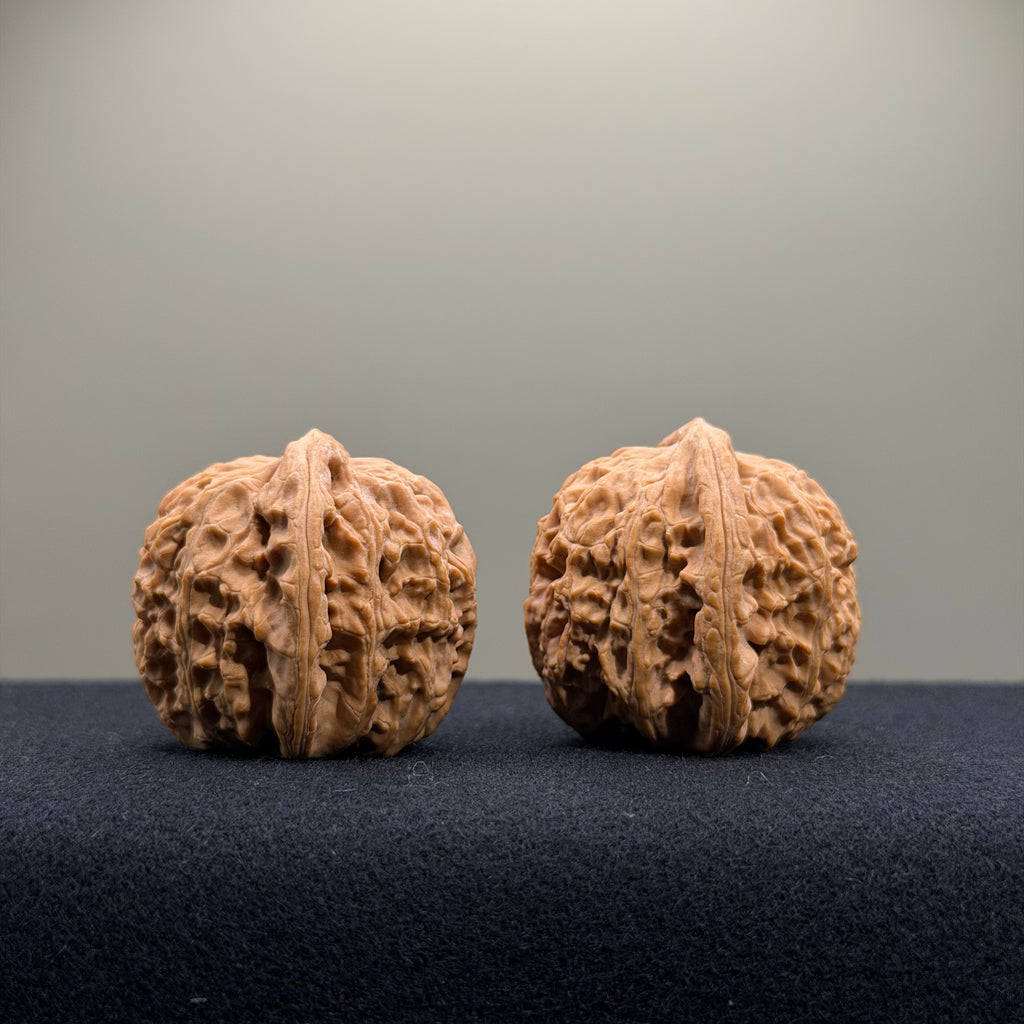 White Lion Wenwan Walnut · 35mm · Natural · Entry Ritual