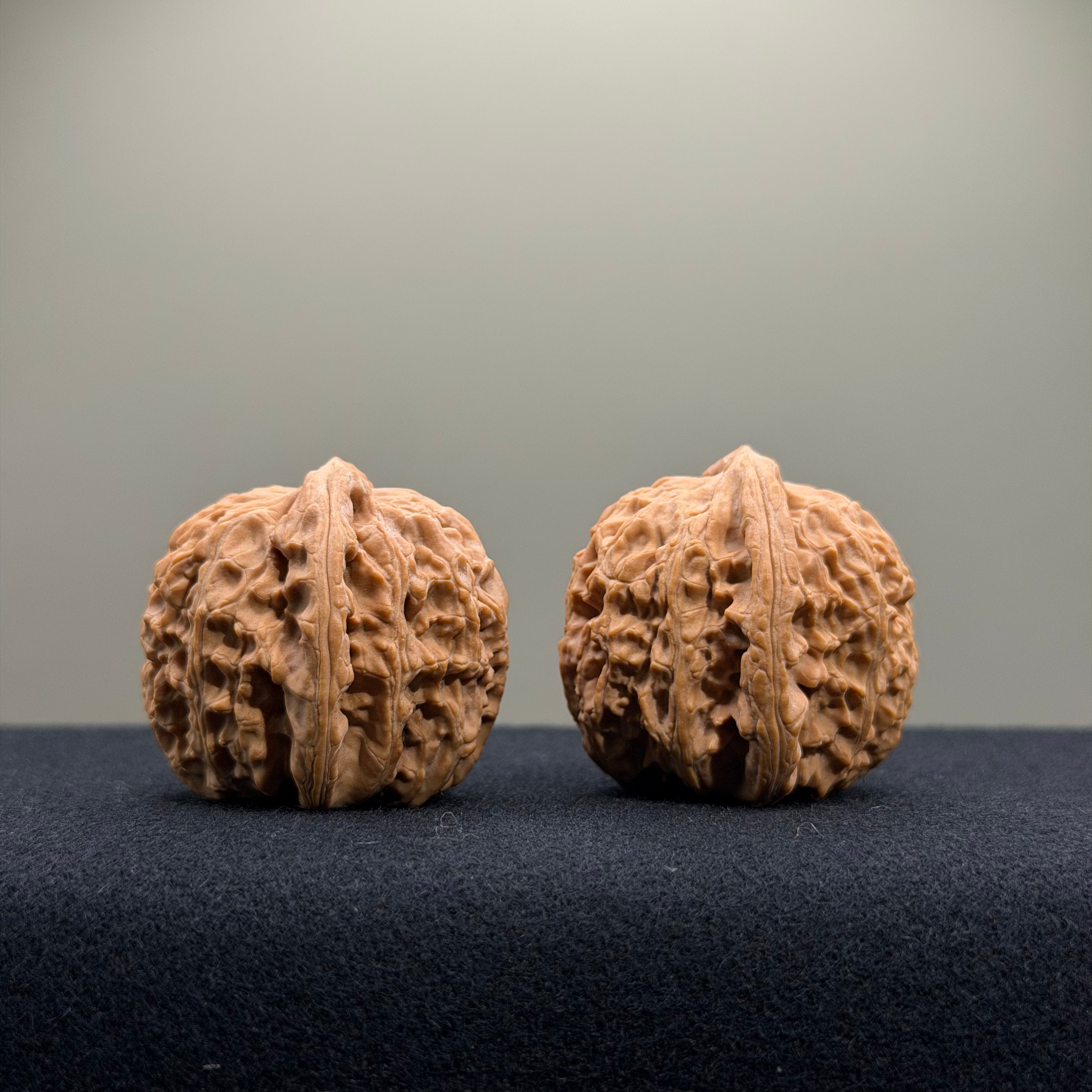 White Lion Wenwan Walnut · 35mm · Natural · Entry Ritual